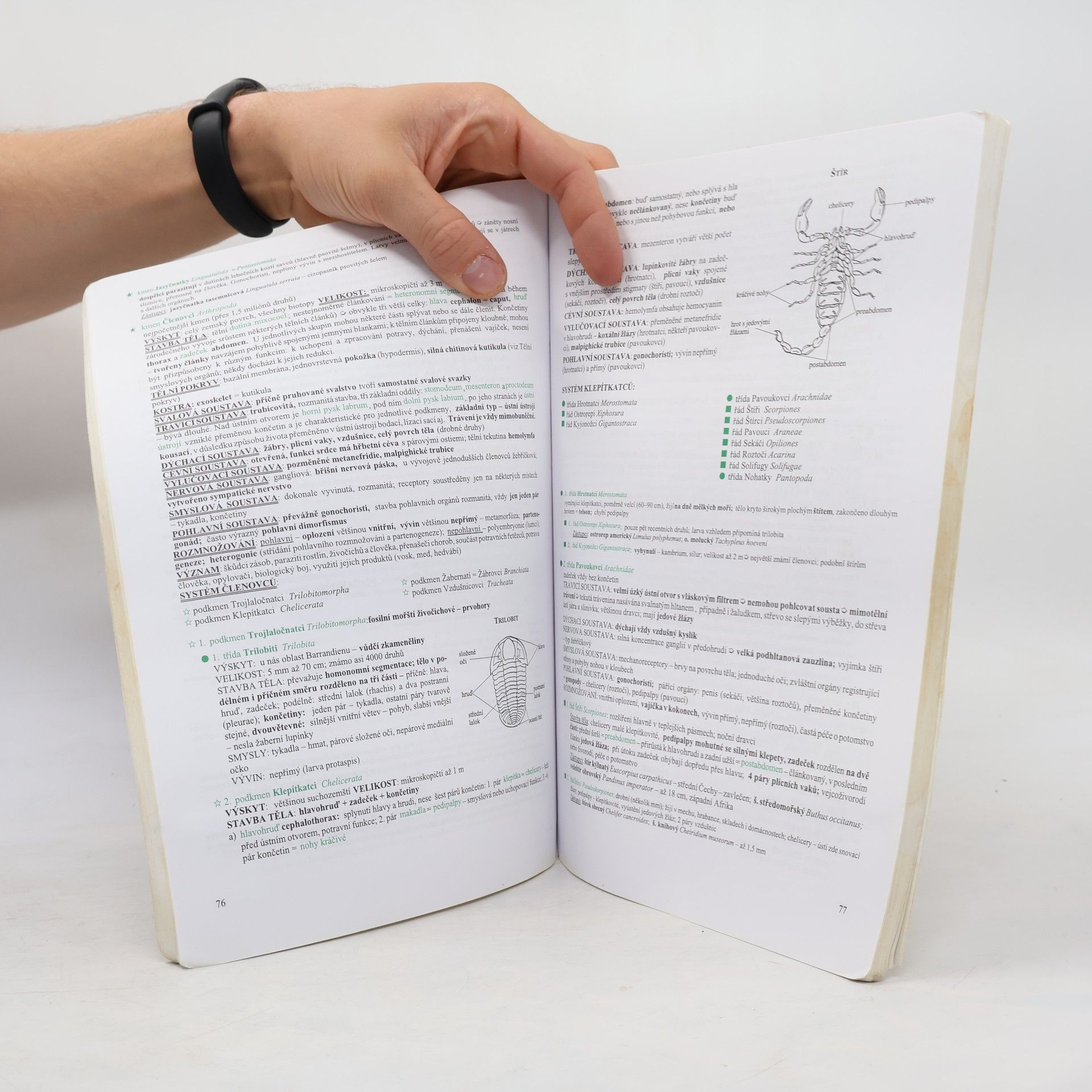 Hana Hančová Biologie v kostce. 2. díl