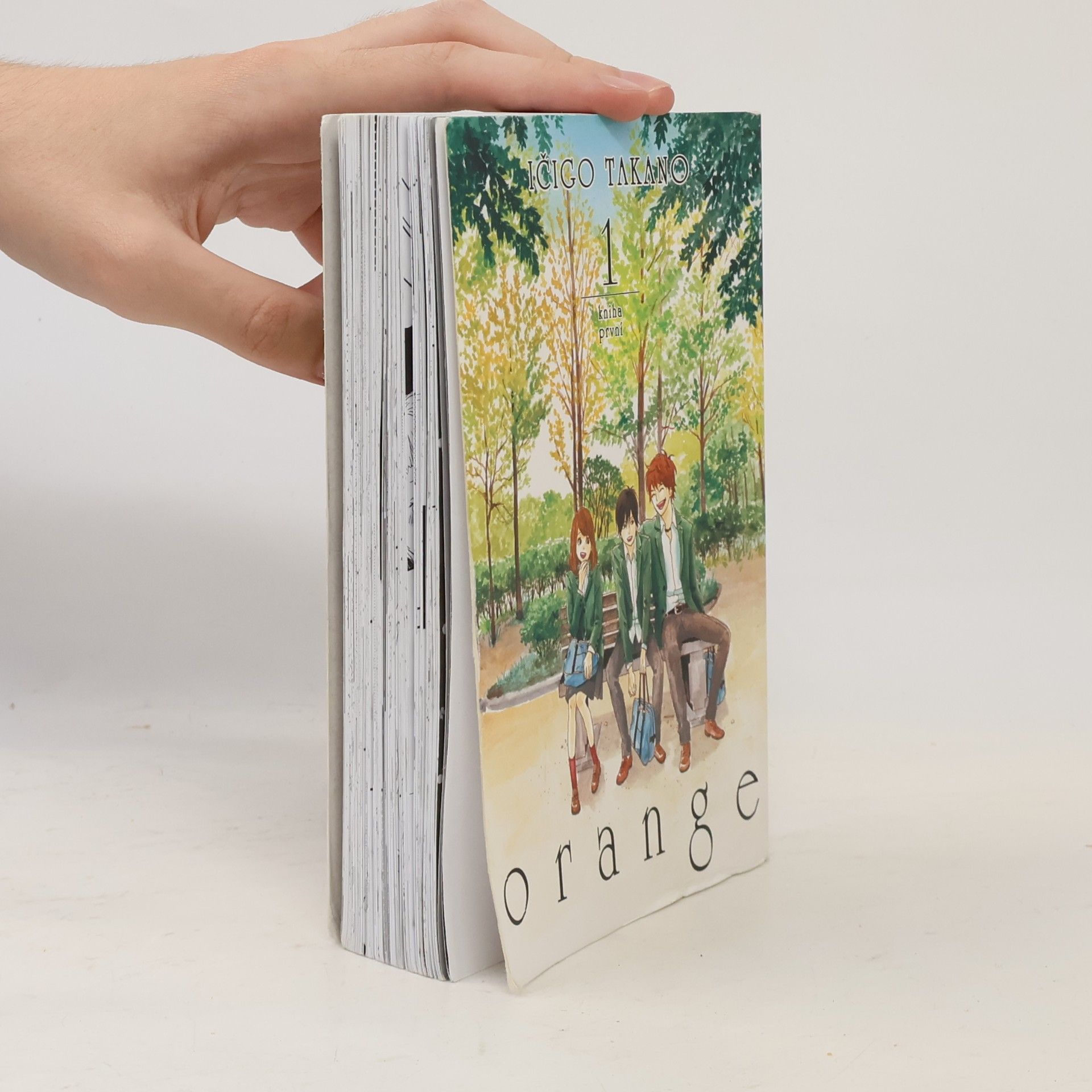 Ichigo Takano Orange 1