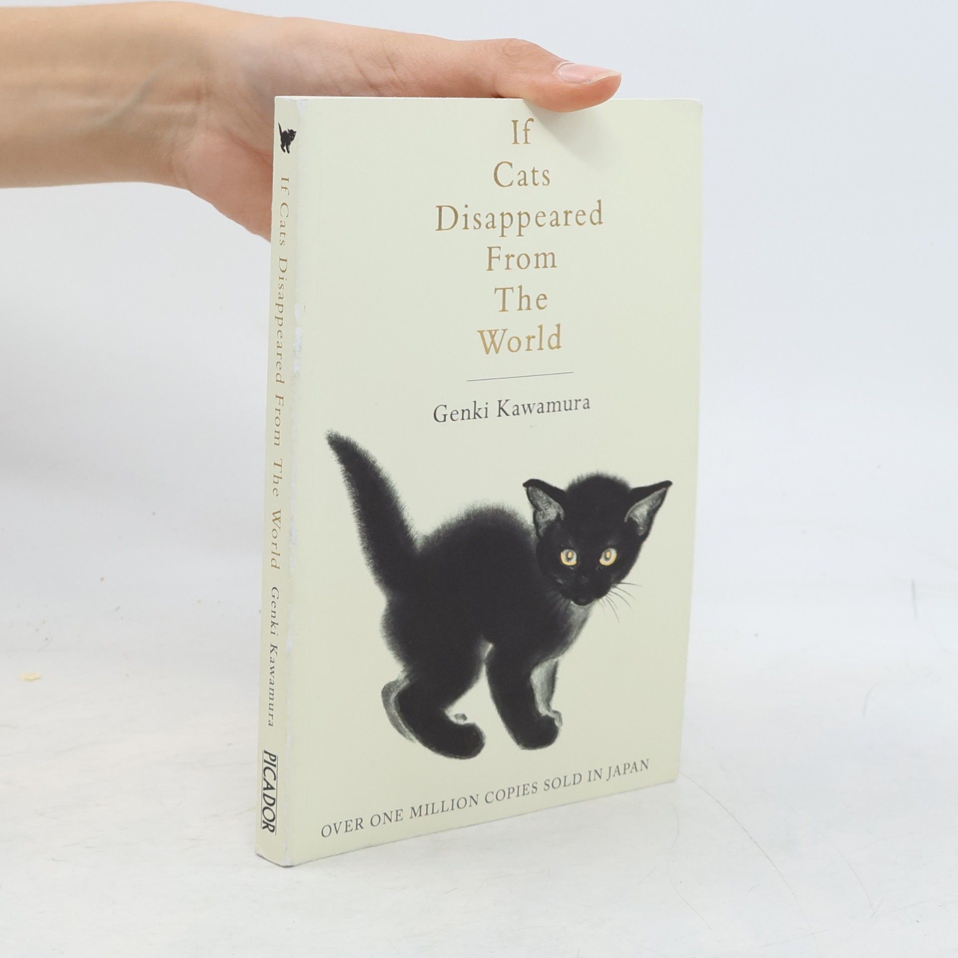 Genki Kawamura If Cats Disappeared from the World
