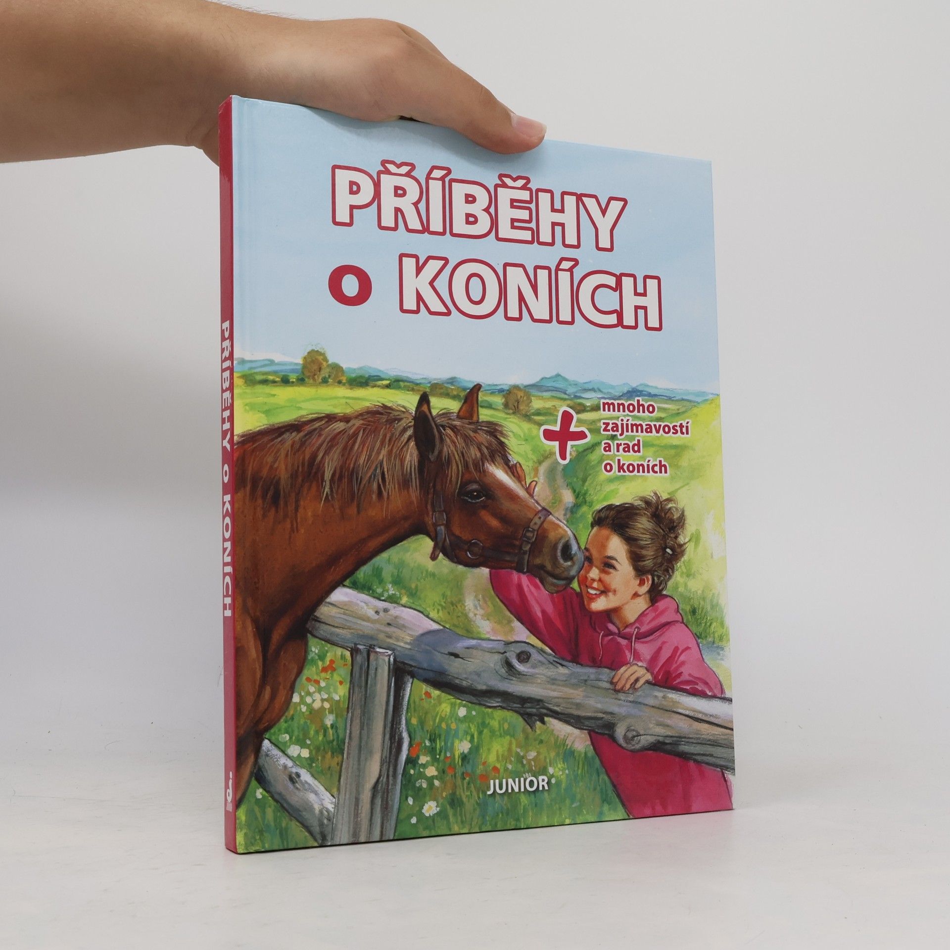 Kolektiv autorů Příběhy o koních