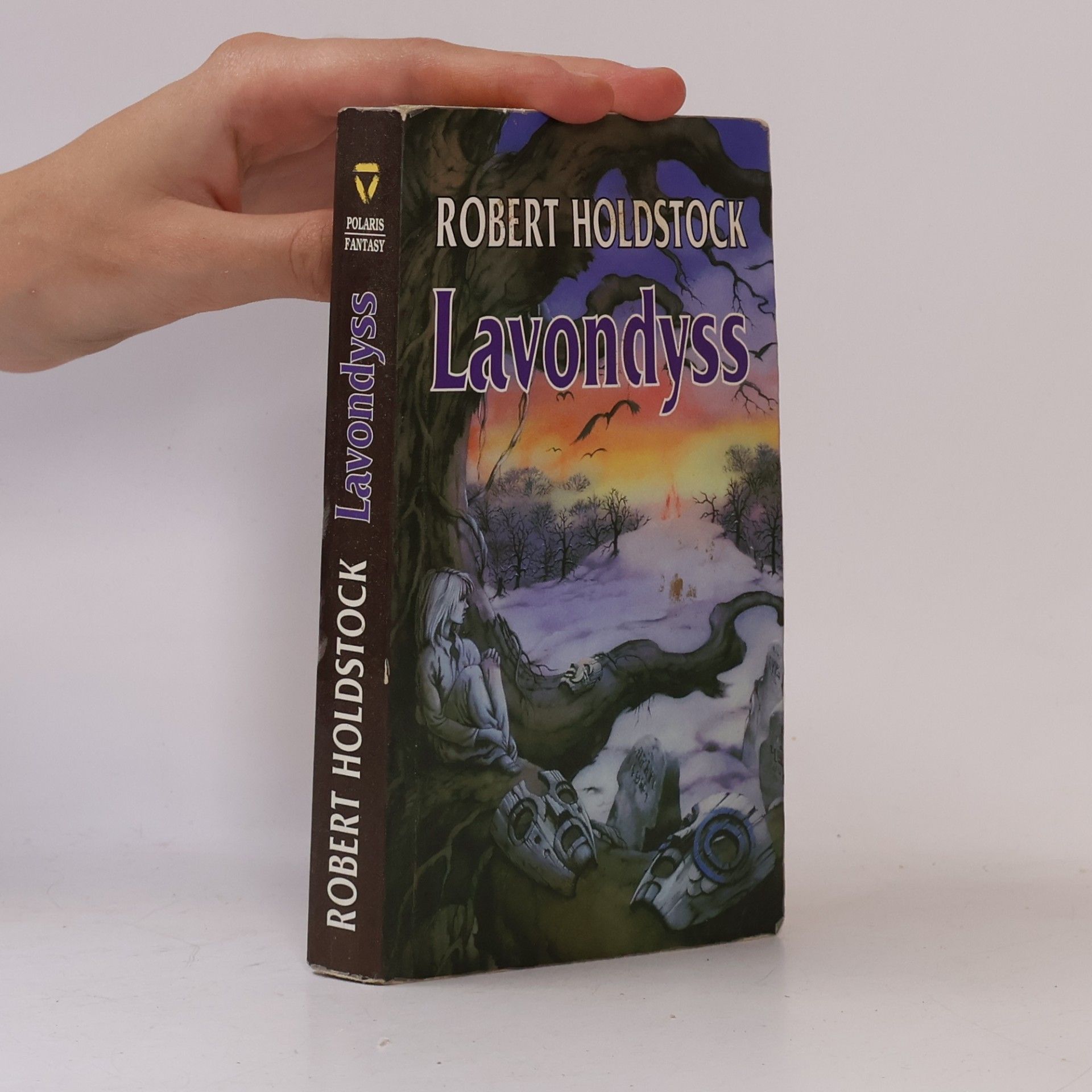 Robert Holdstock Lavondyss : cesta do neznámé země