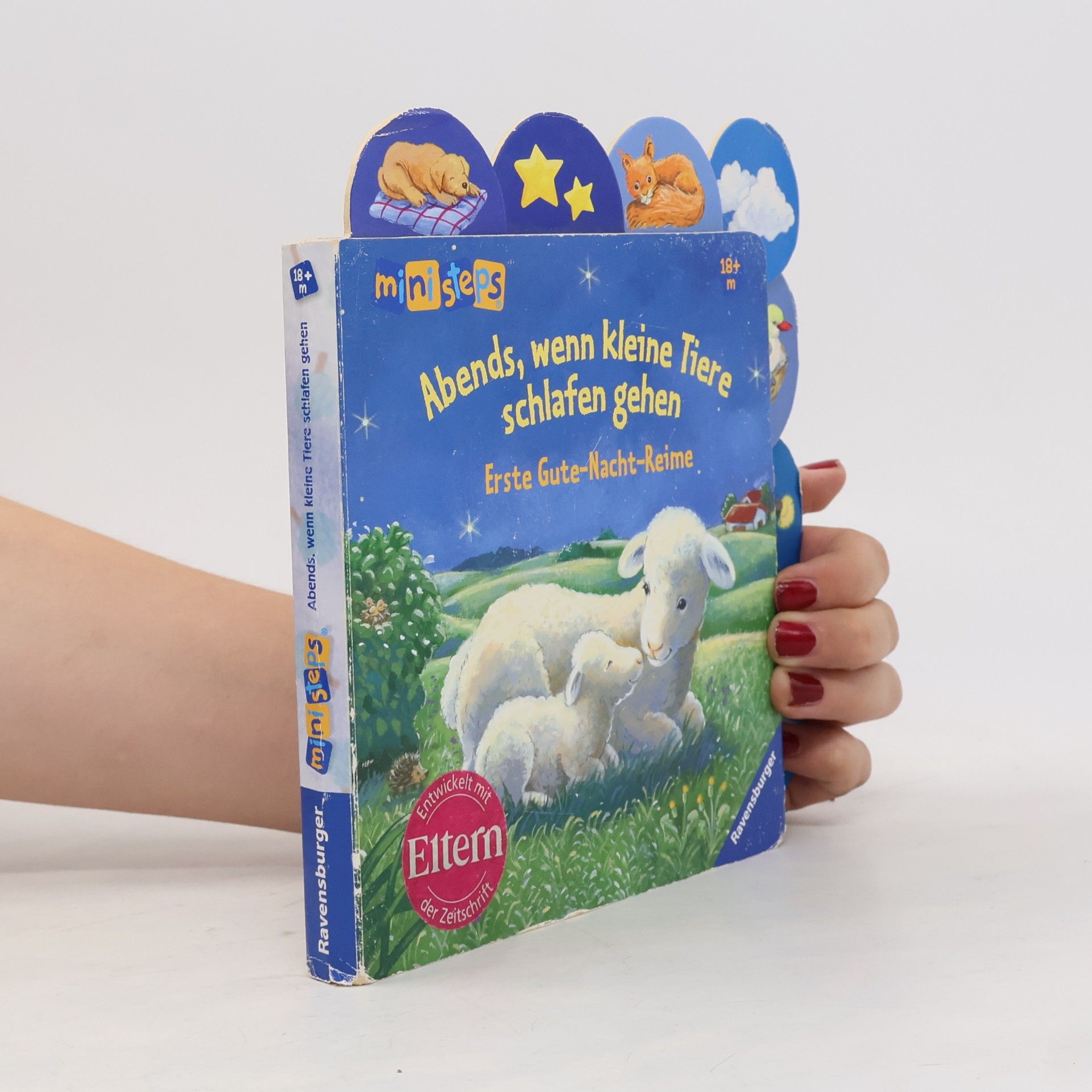 Ana Weller Abends, wenn kleine Tiere schlafen gehen