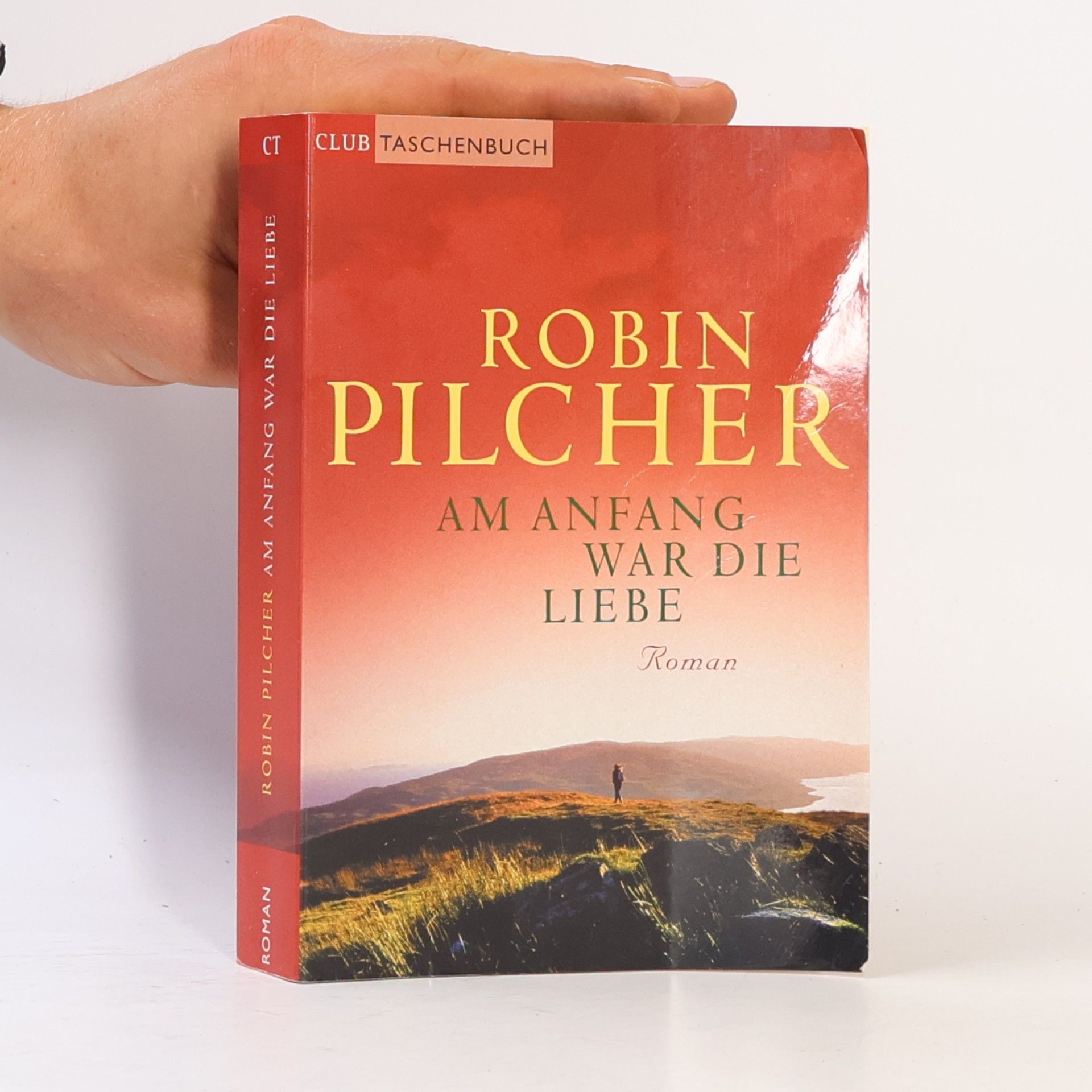 Robin Pilcher Am Anfang war die Liebe