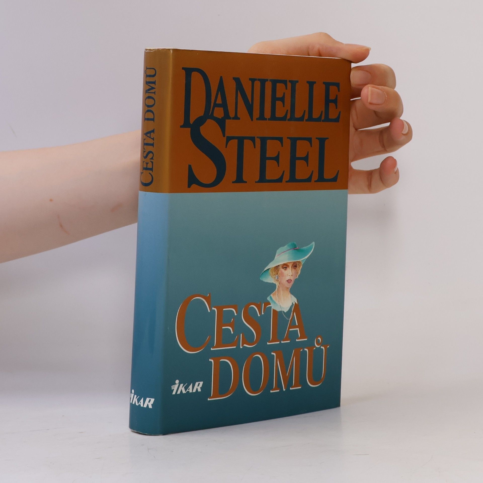 Danielle Steelová Cesta domů