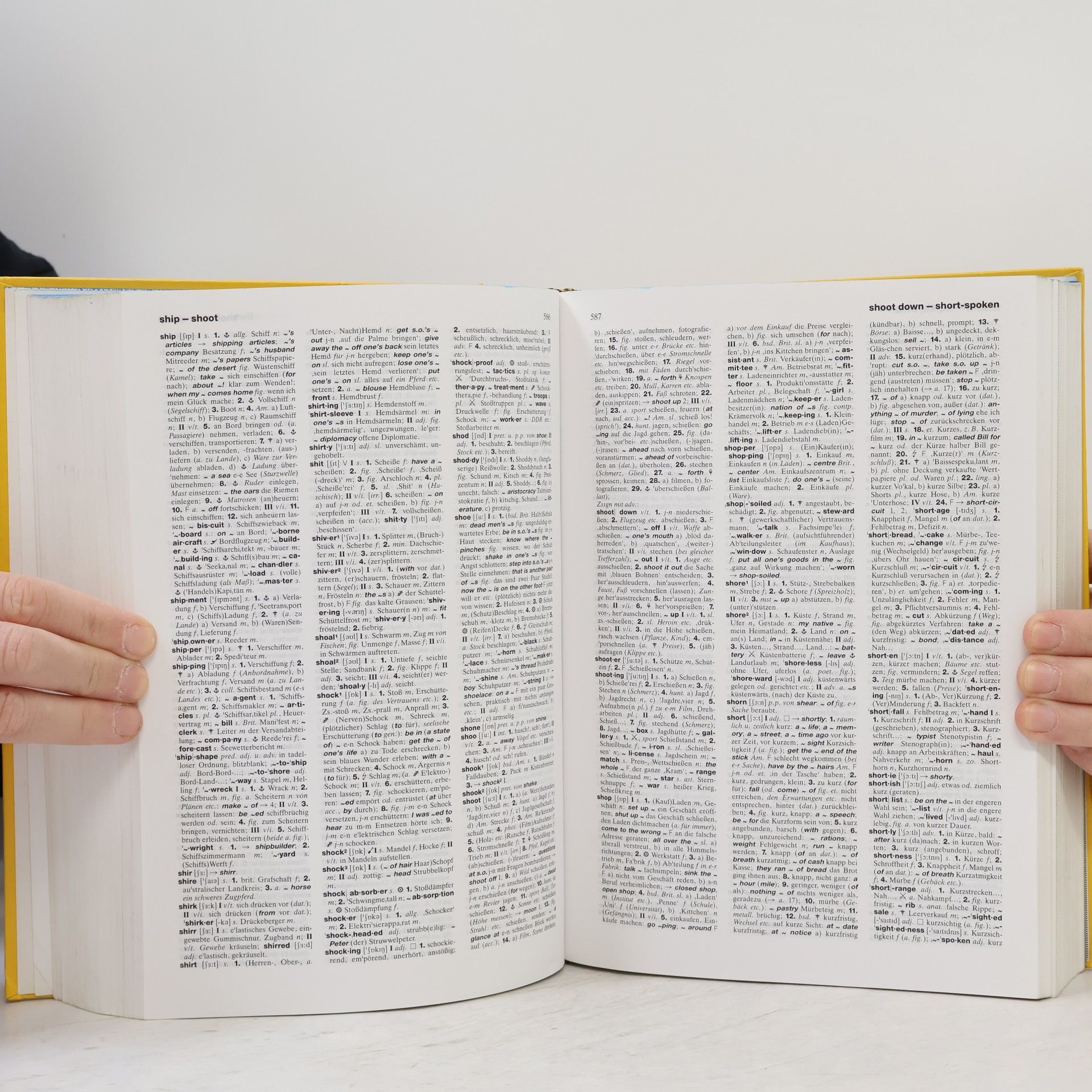 Sonia Brough Langenscheidts Handwörterbuch Englisch