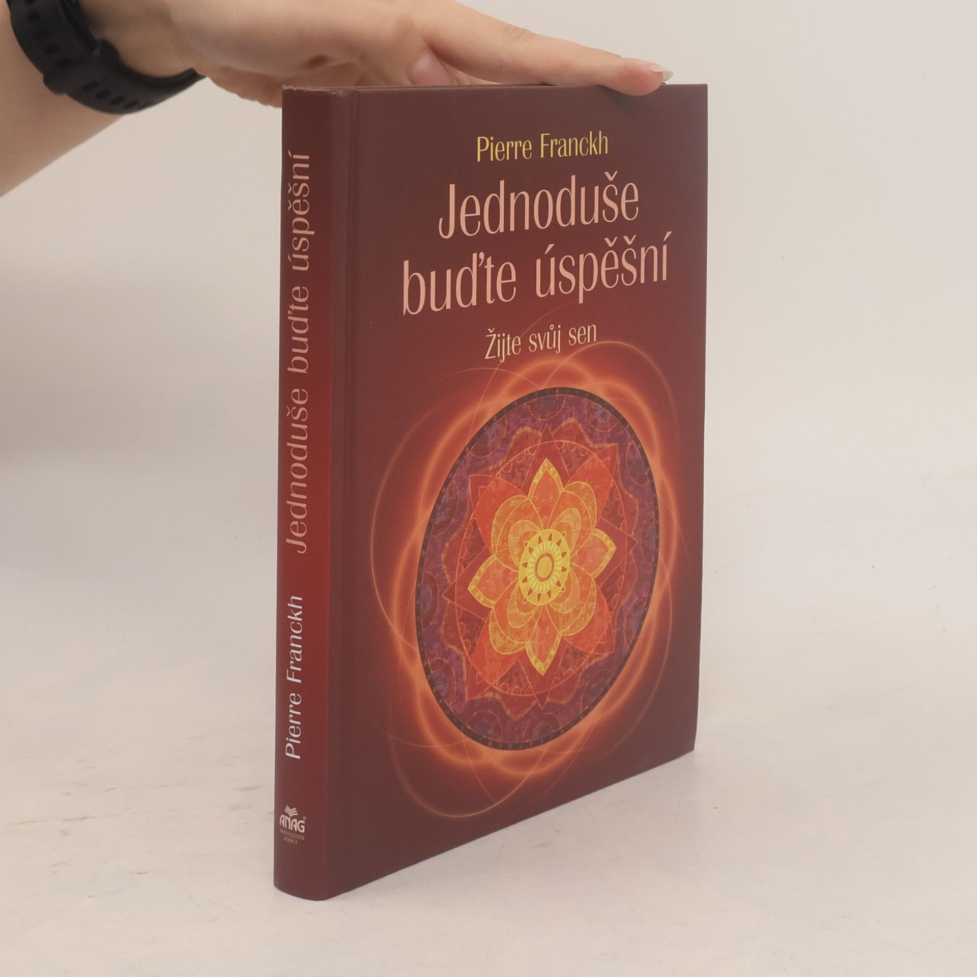 Pierre Franckh Jednoduše buďte úspěšní. Žijte svůj sen