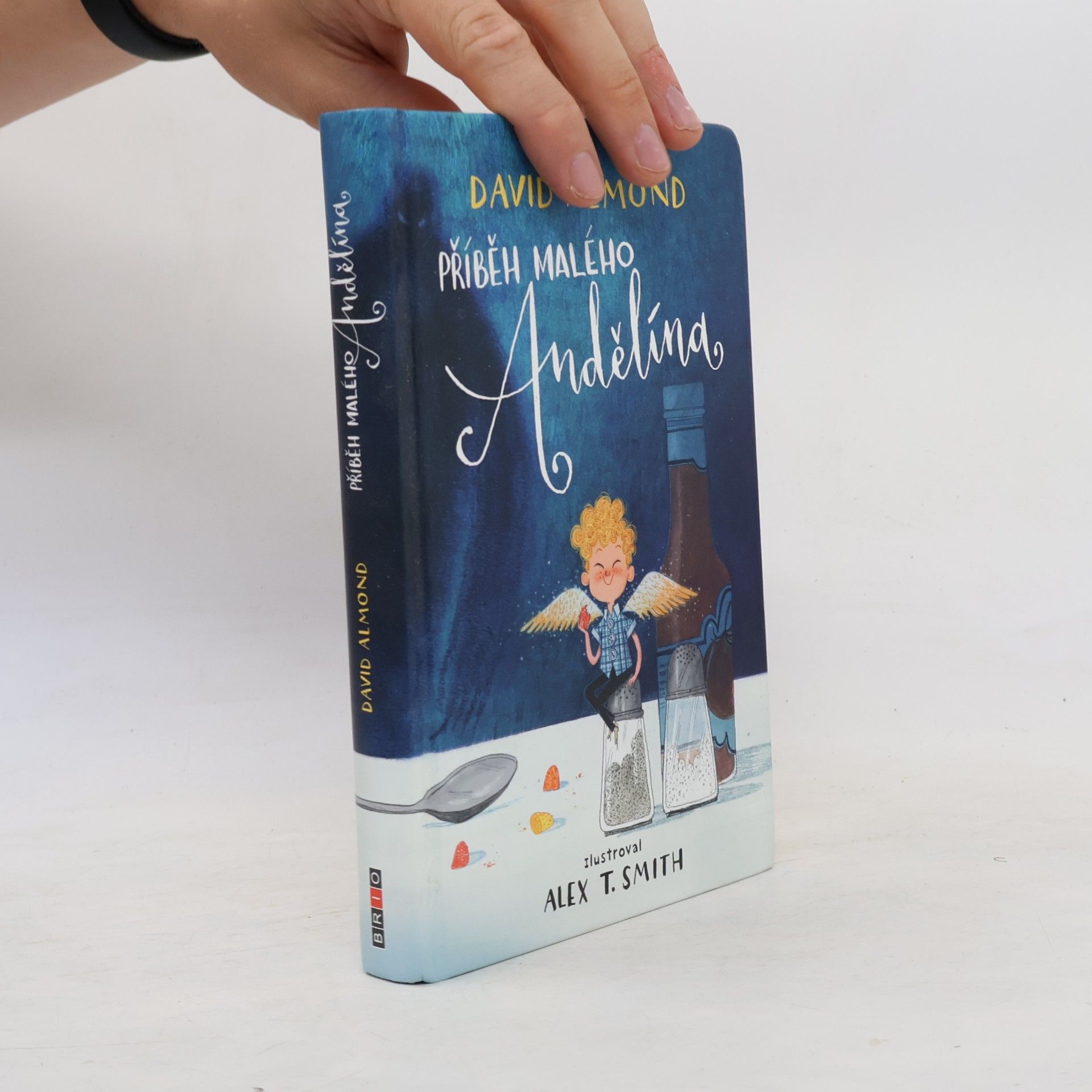David Almond Příběh malého Andělína