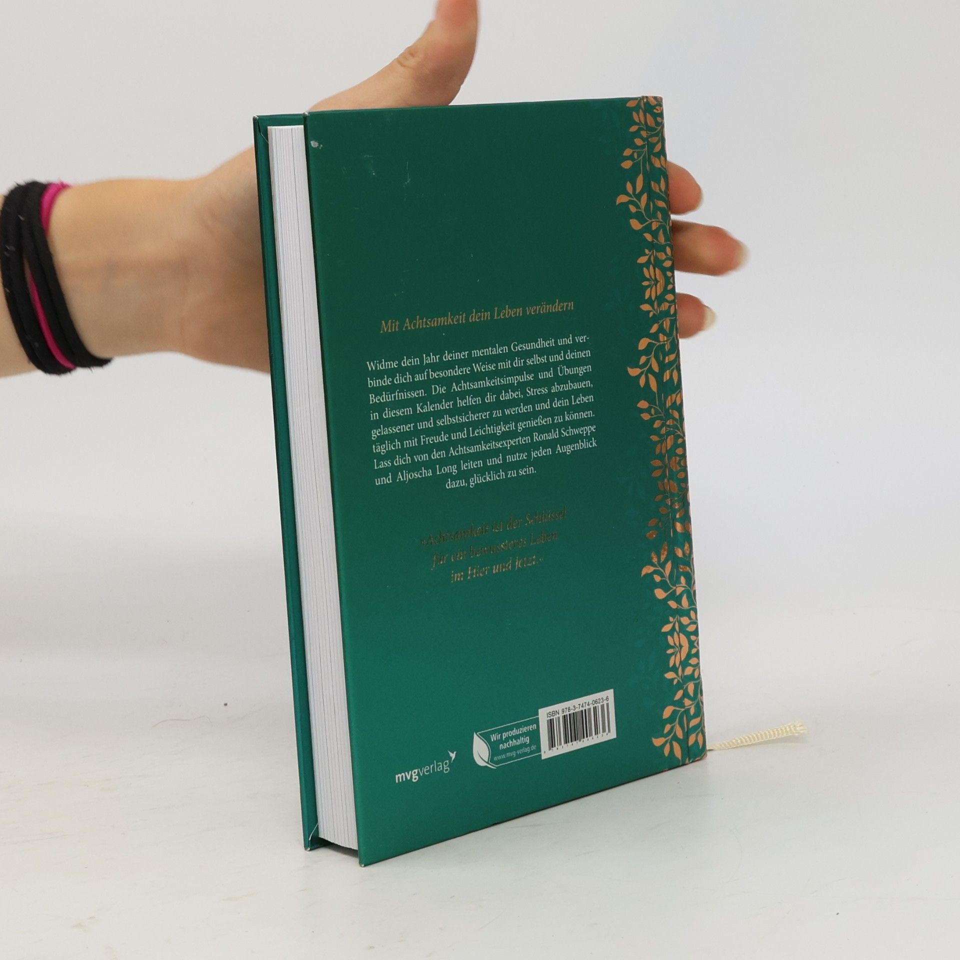 Aljoscha Long 365 Achtsamkeitsimpulse für dich. Inspirationen für einen Alltag voller Glück, Lebensfreude und positivem Mindset. Für mehr Selbstliebe, innere Ruhe, Dankbarkeit. Tolles Geschenk