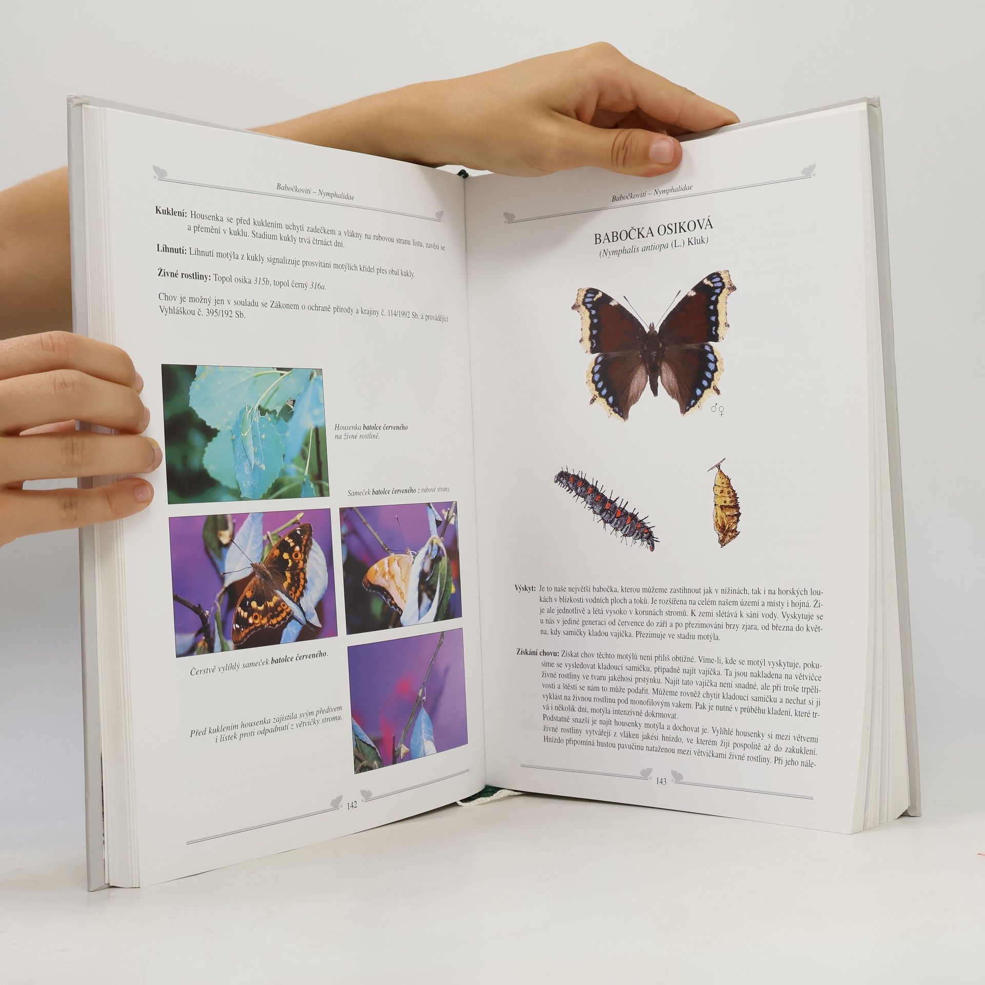 Jan Krnáč Začínáme s entomologií a chovem motýlů