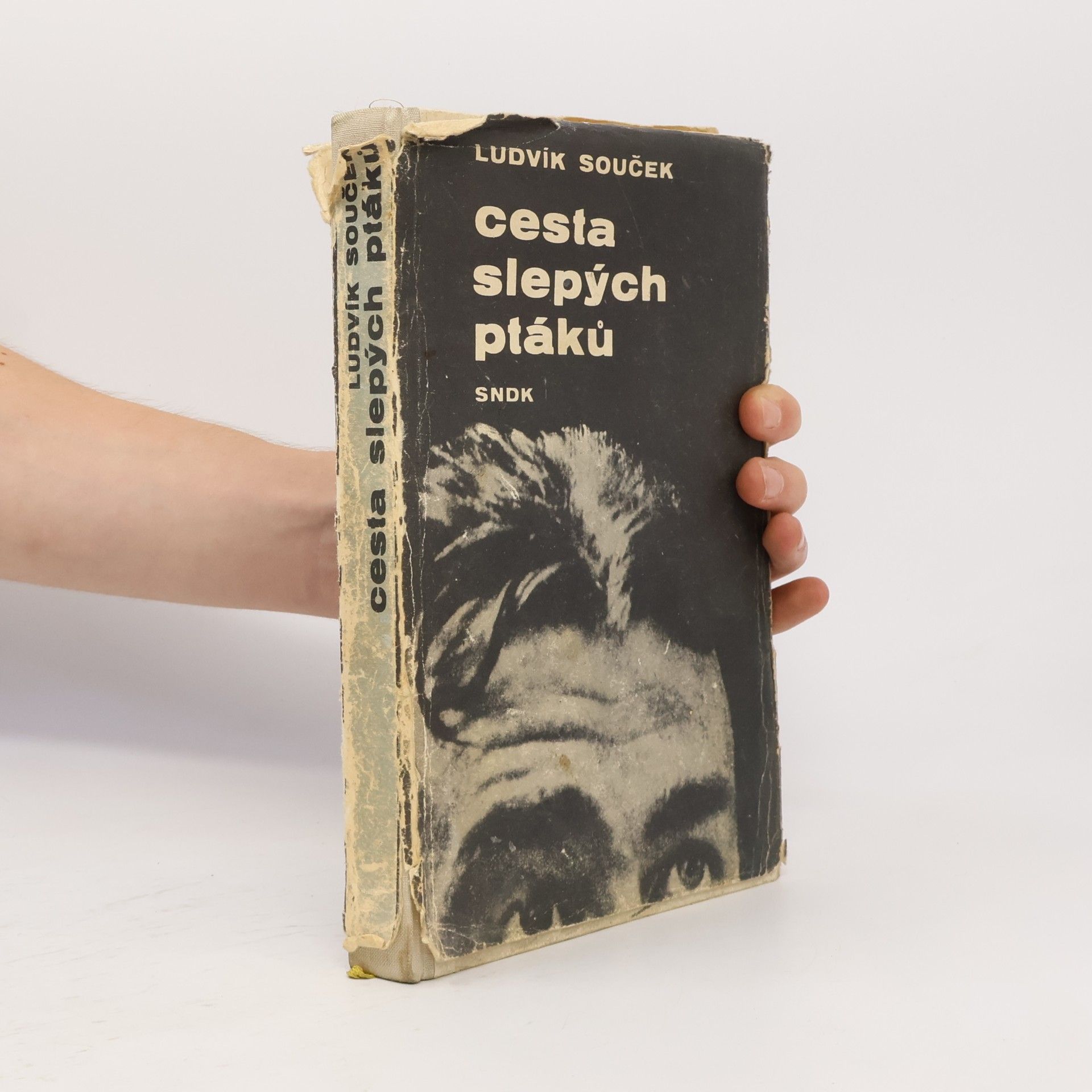 Ludvík Souček Cesta slepých ptáků
