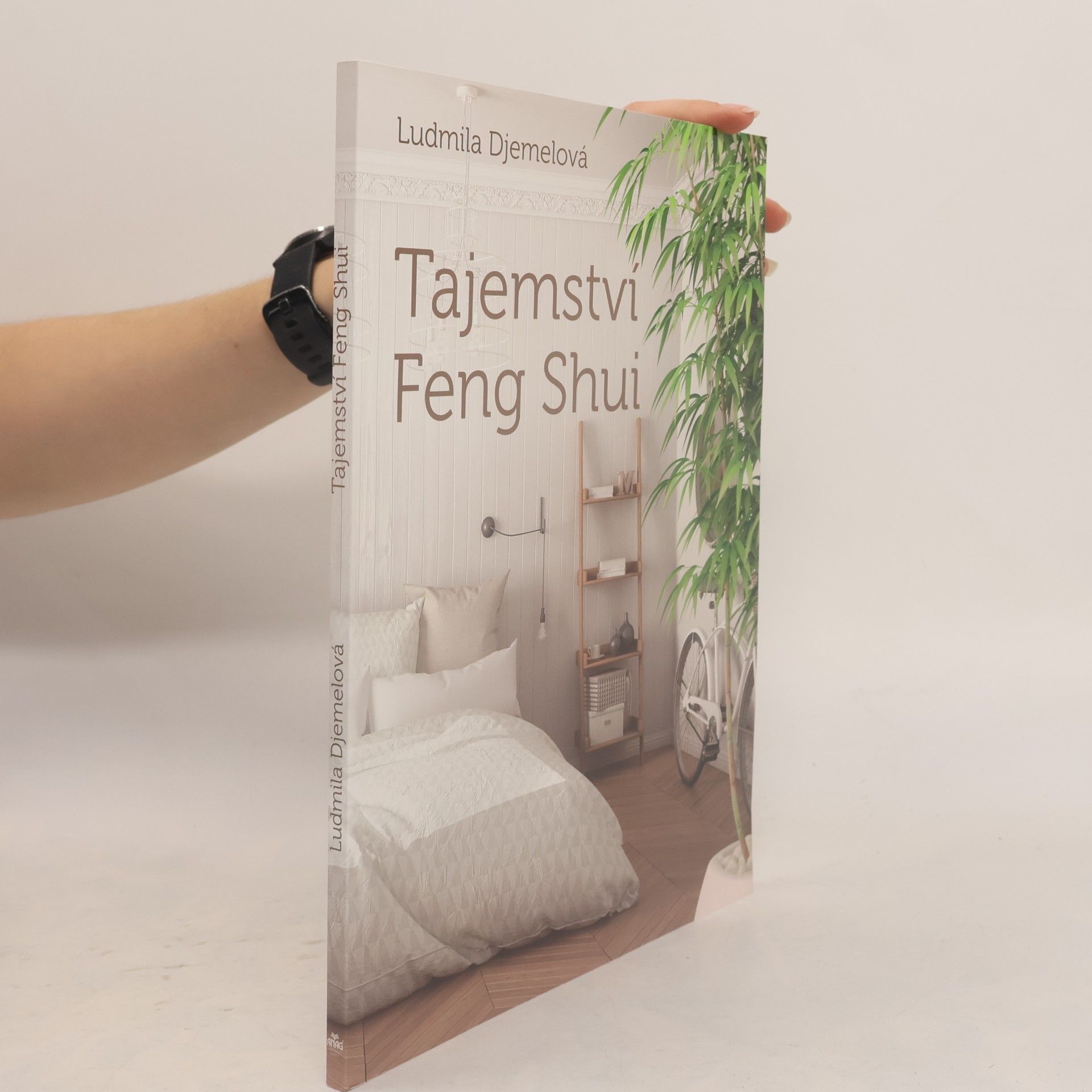 Ludmila Djemelová Tajemství Feng Shui