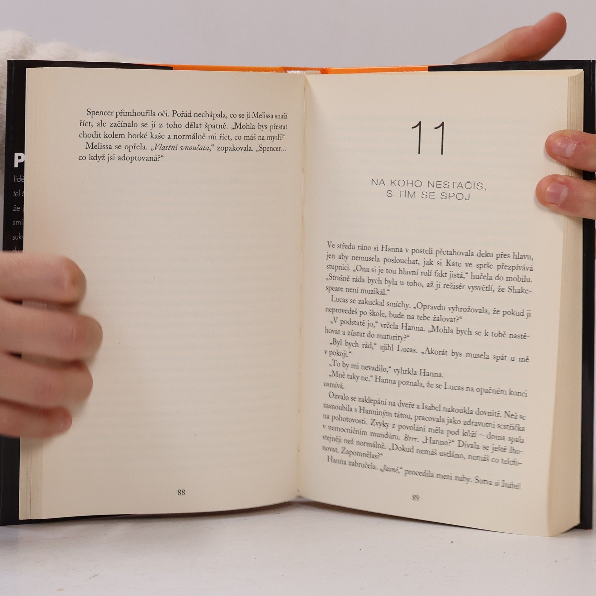 Sara Shepard Roztomilé malé lhářky: Hříšné
