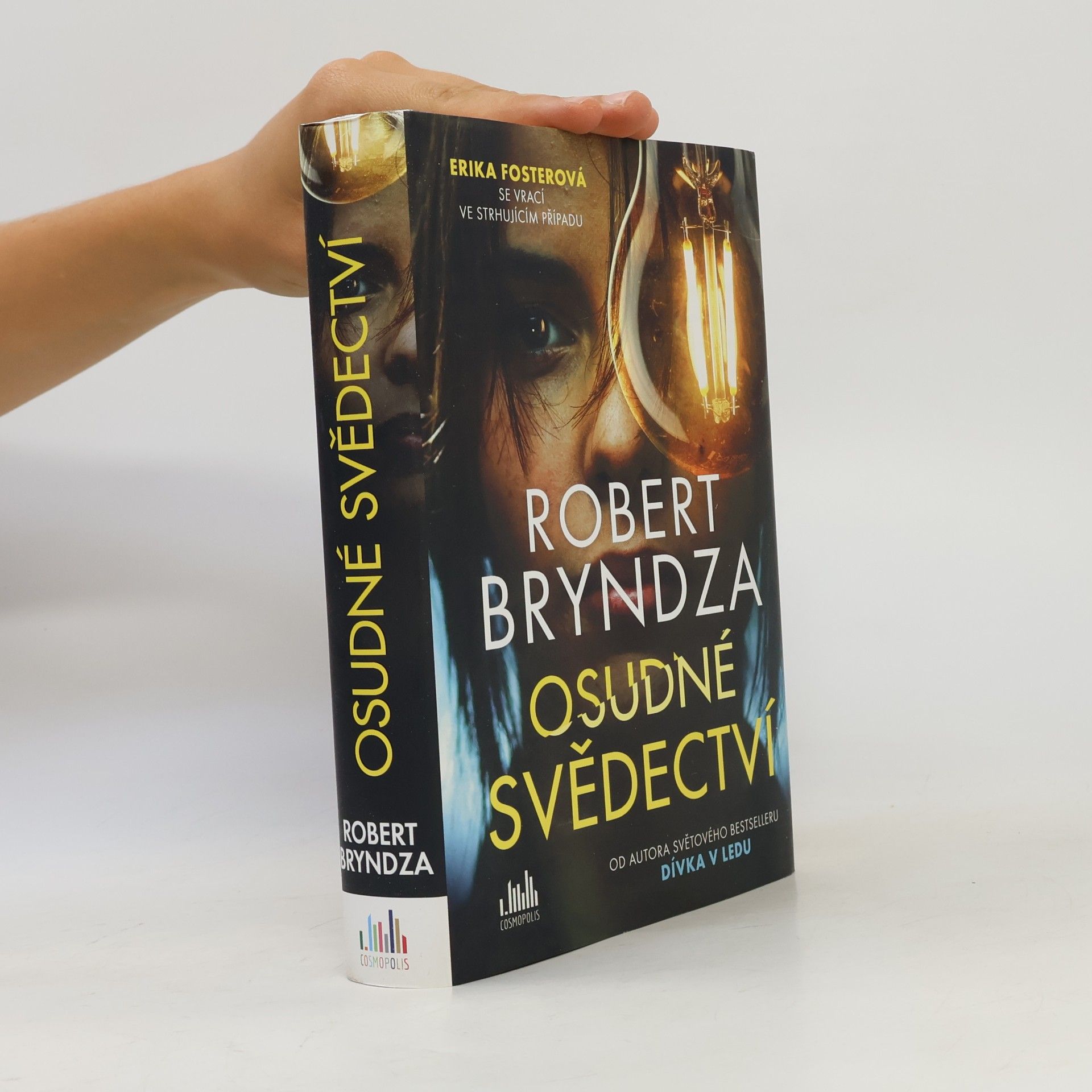 Robert Bryndza Osudné svědectví