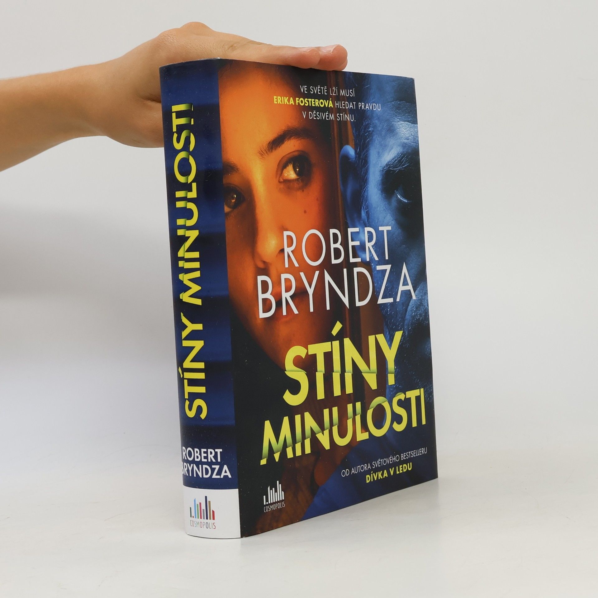 Robert Bryndza Stíny minulosti