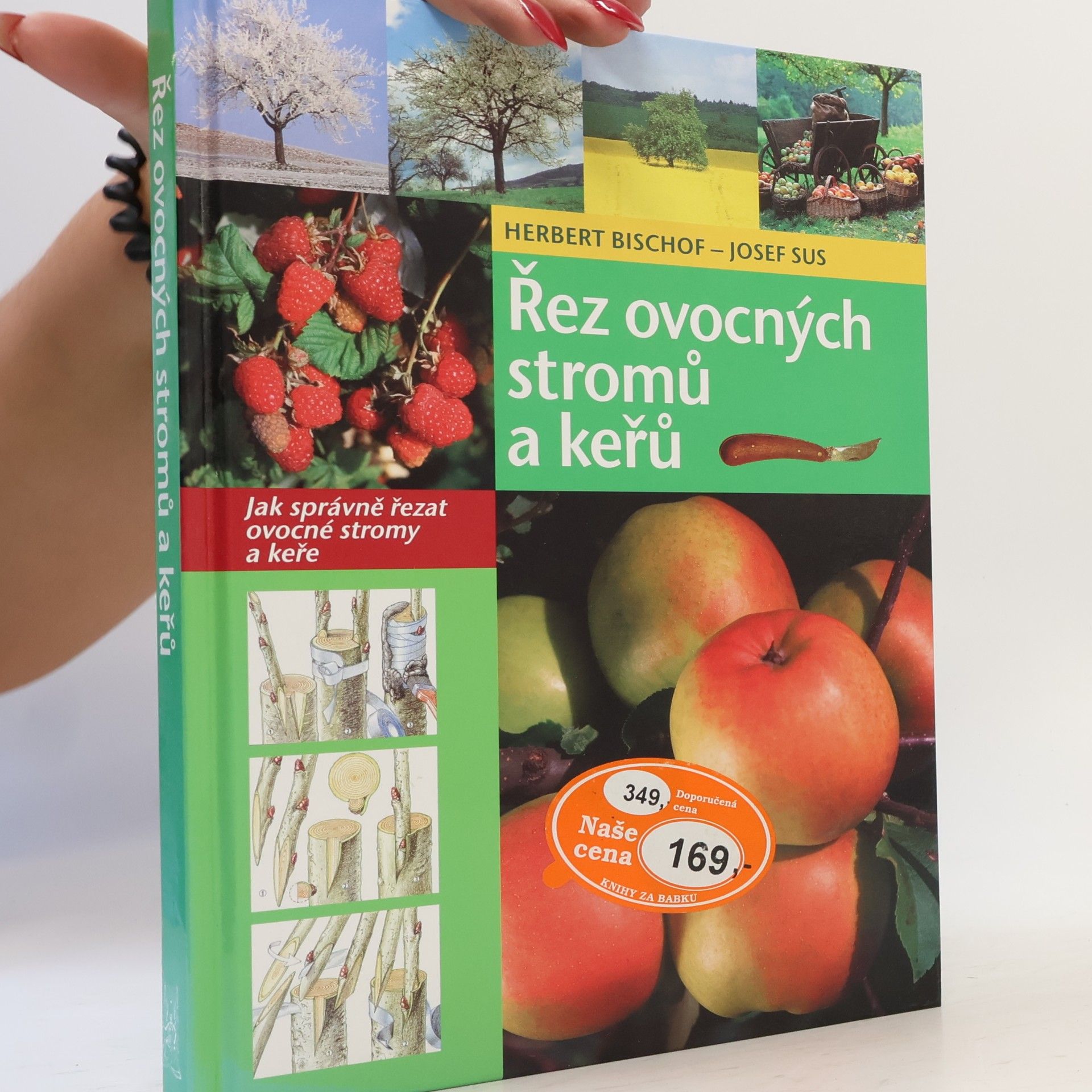 Řez ovocných stromů a keřů