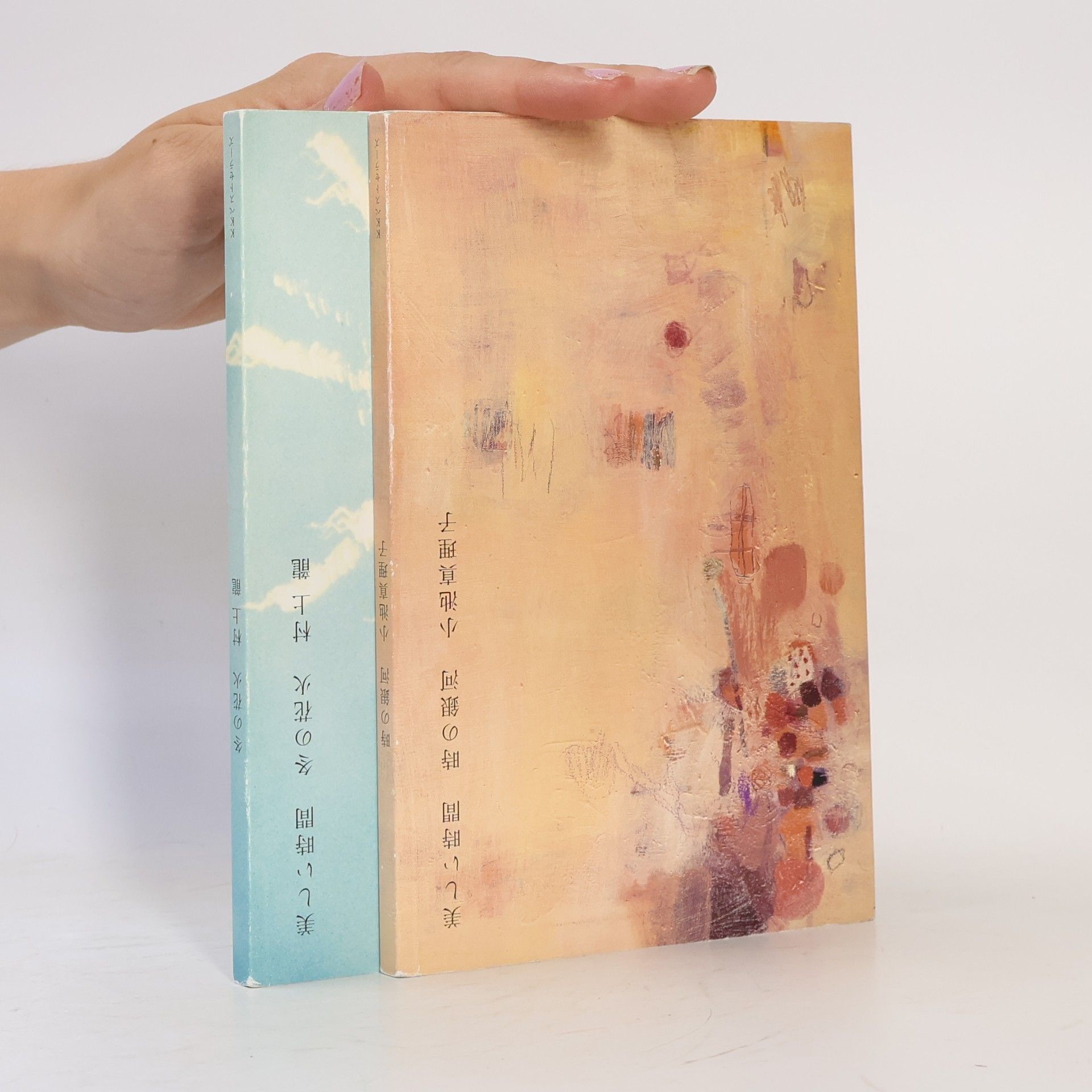 Ryū Murakami 美しい時間. 冬の花火