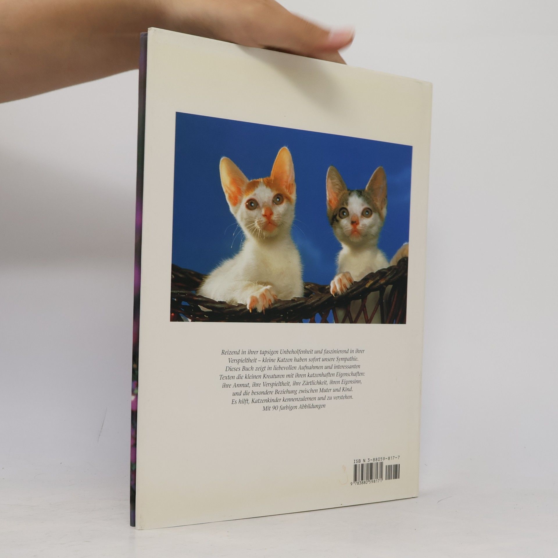 Marcus Schneck Katzenkinder