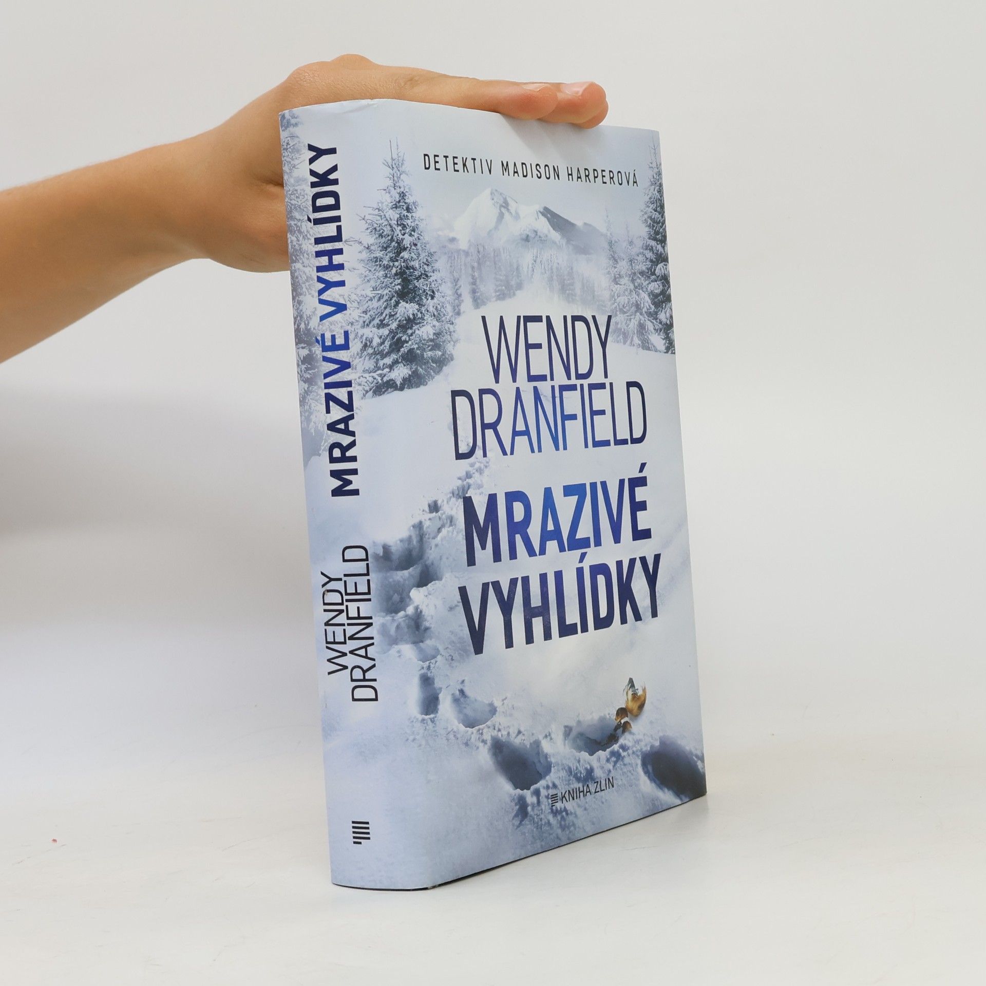 Wendy Dranfield Mrazivé vyhlídky