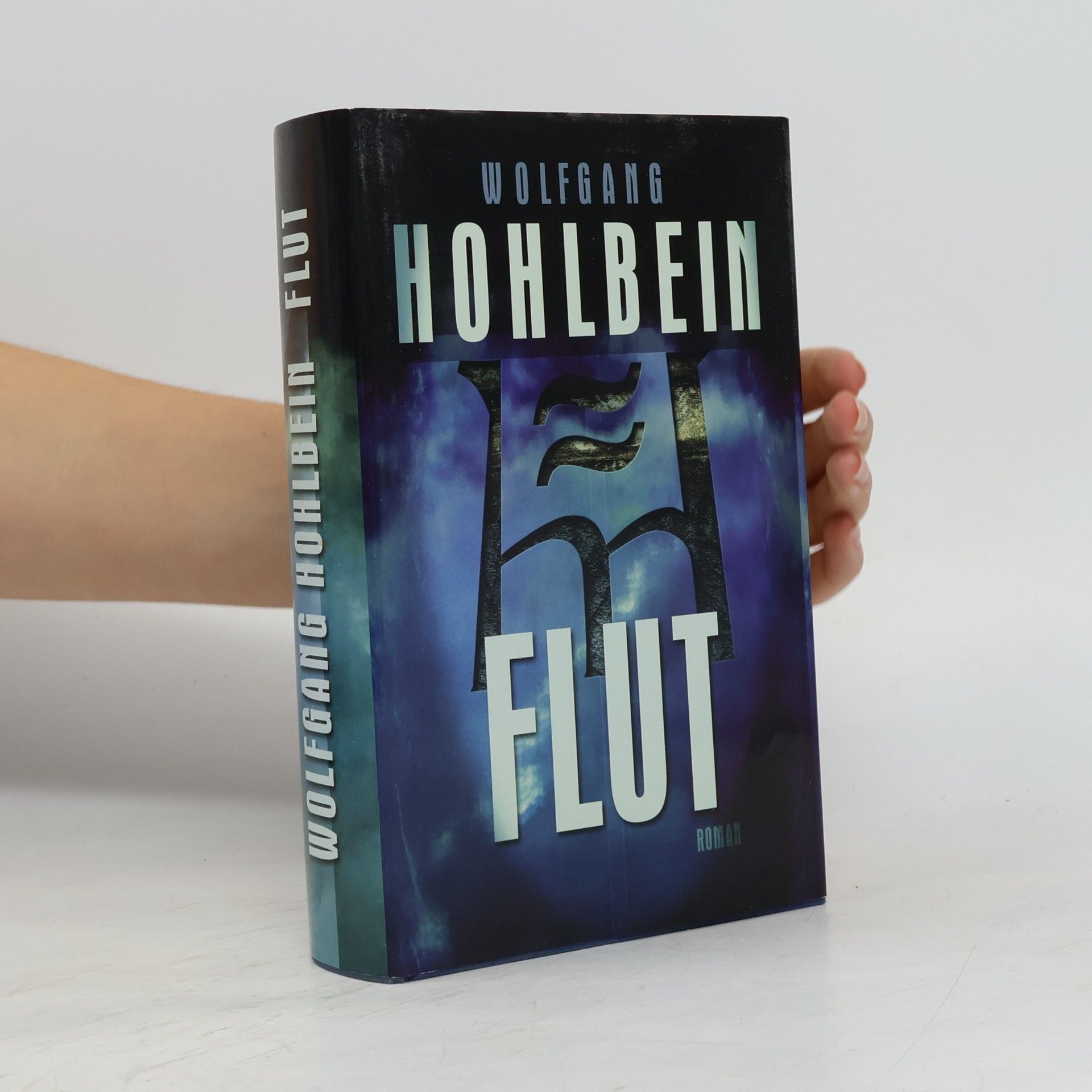 Wolfgang Hohlbein Flut