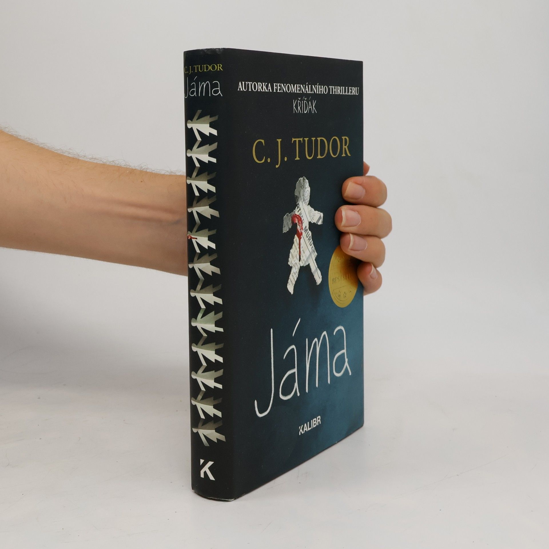 C.J. Tudor Jáma