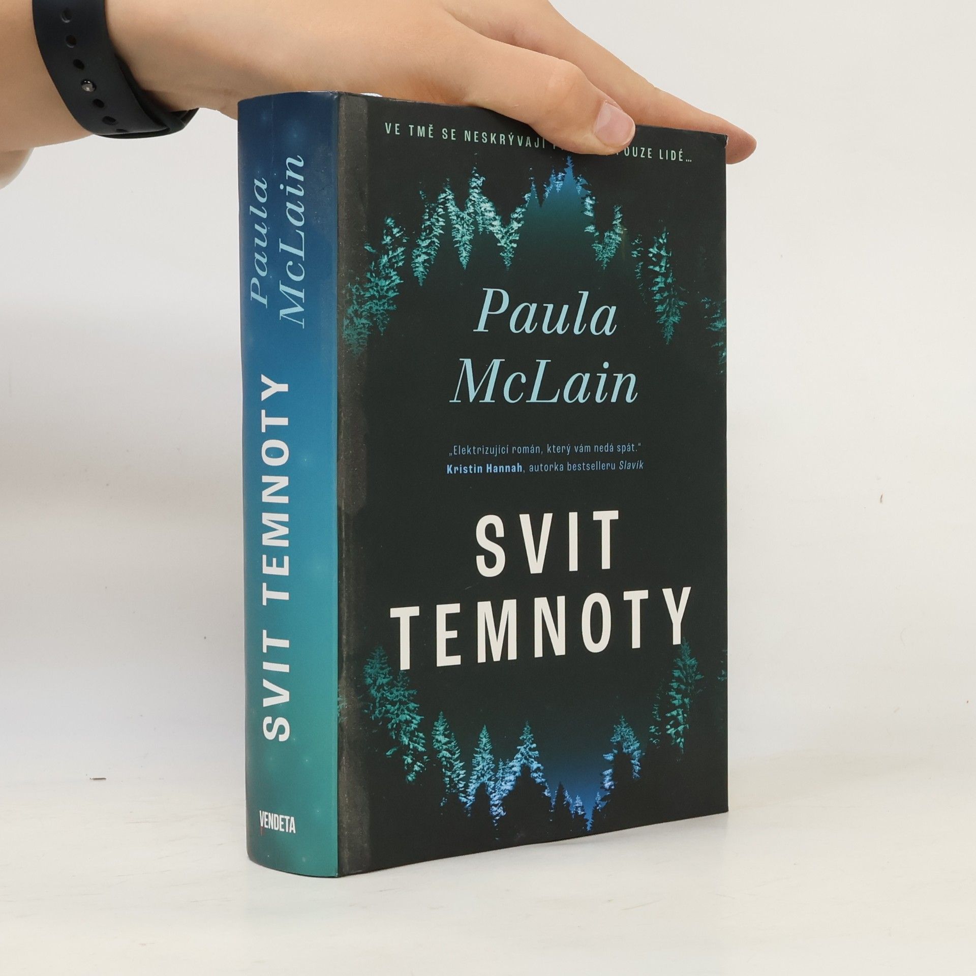 Paula McLain Svit temnoty