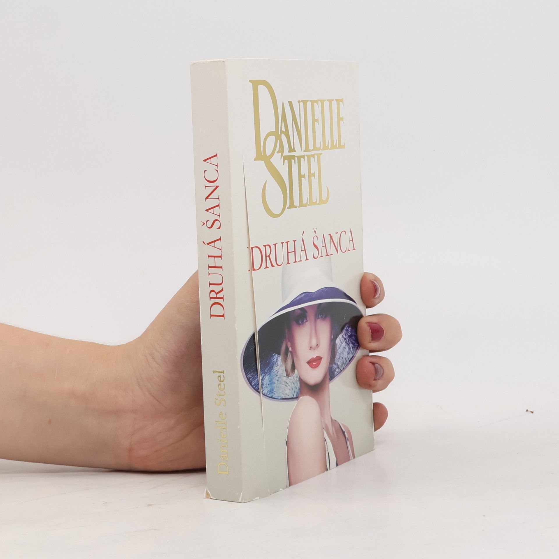 Danielle Steel Druhá šanca