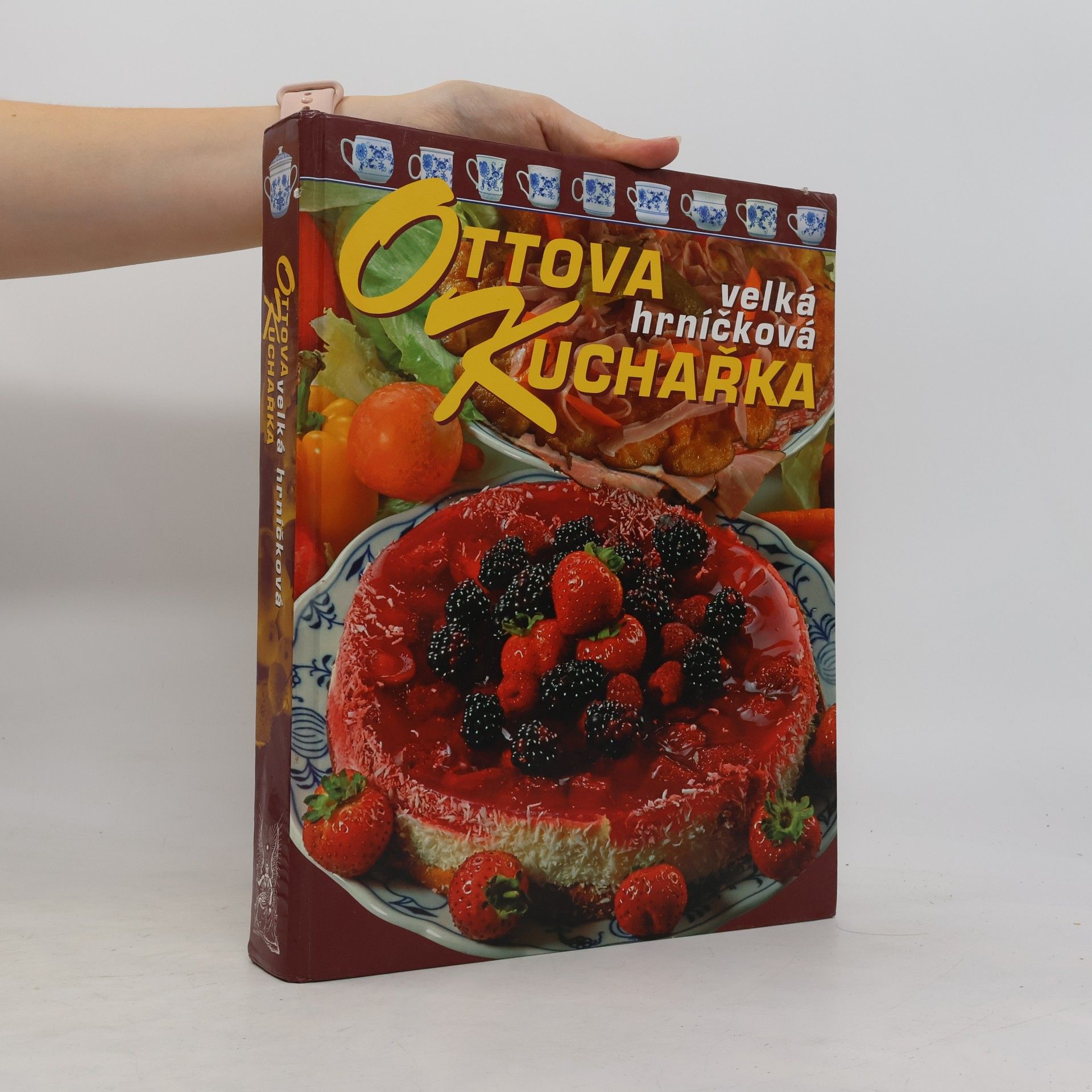 Jaroslav Vašák Ottova velká hrníčková kuchařka