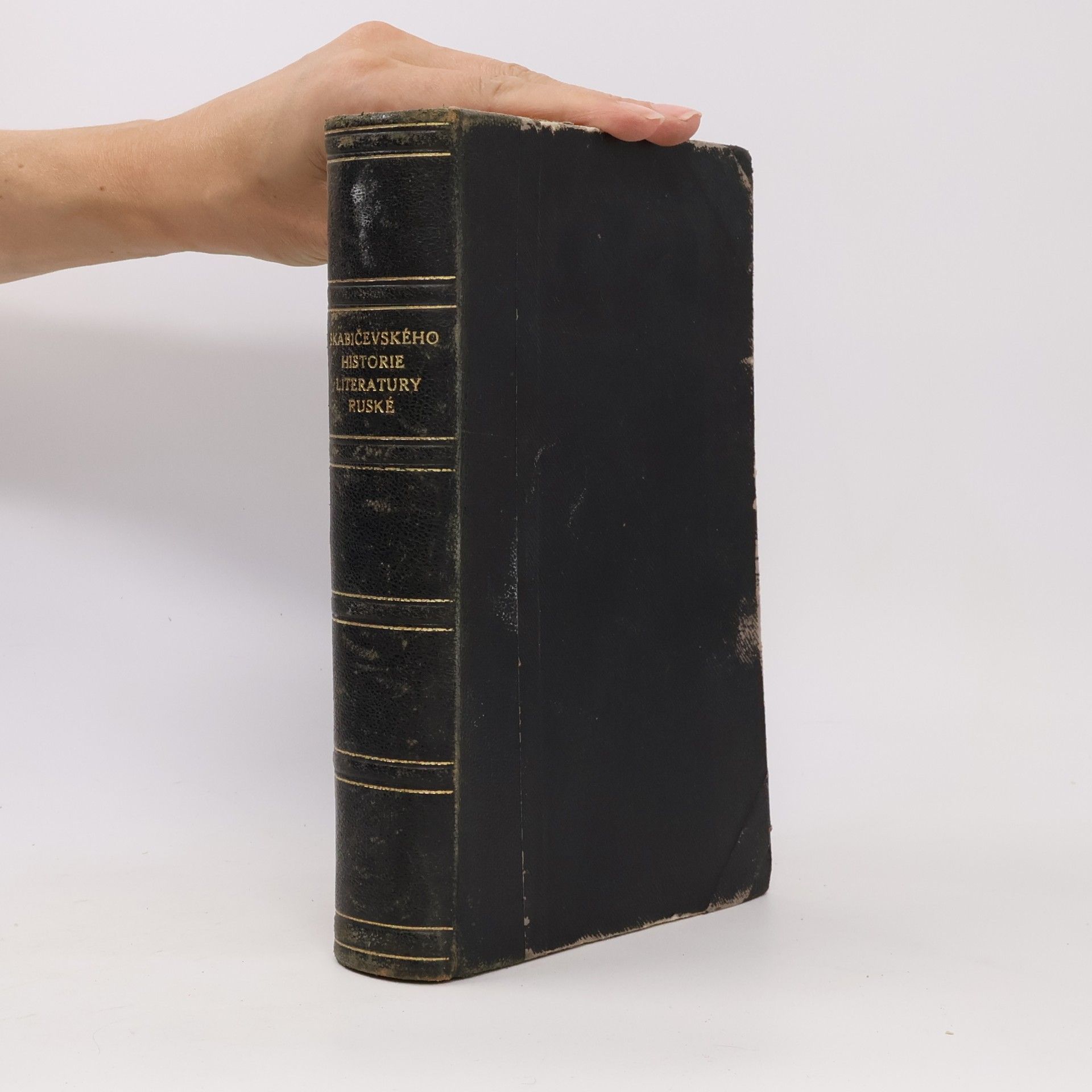 Historie literatury ruské XIX. století 1