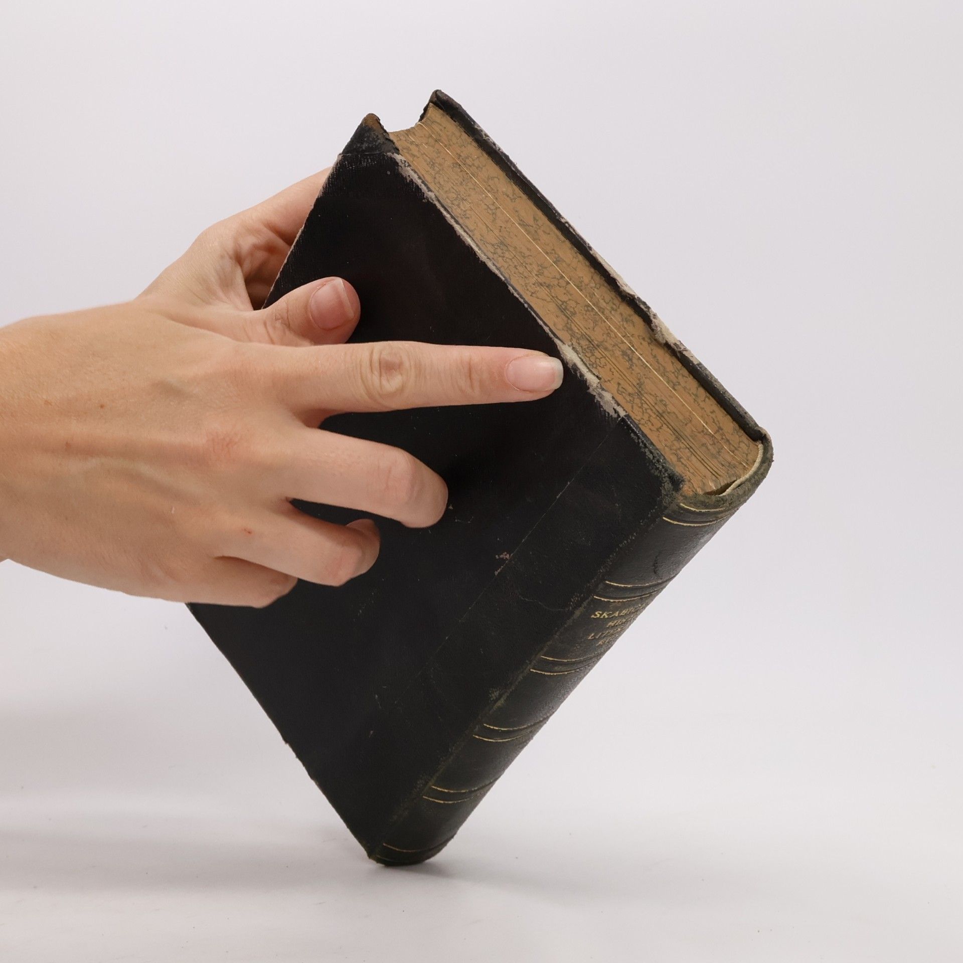 A. G. Stín Historie literatury ruské XIX. století 1
