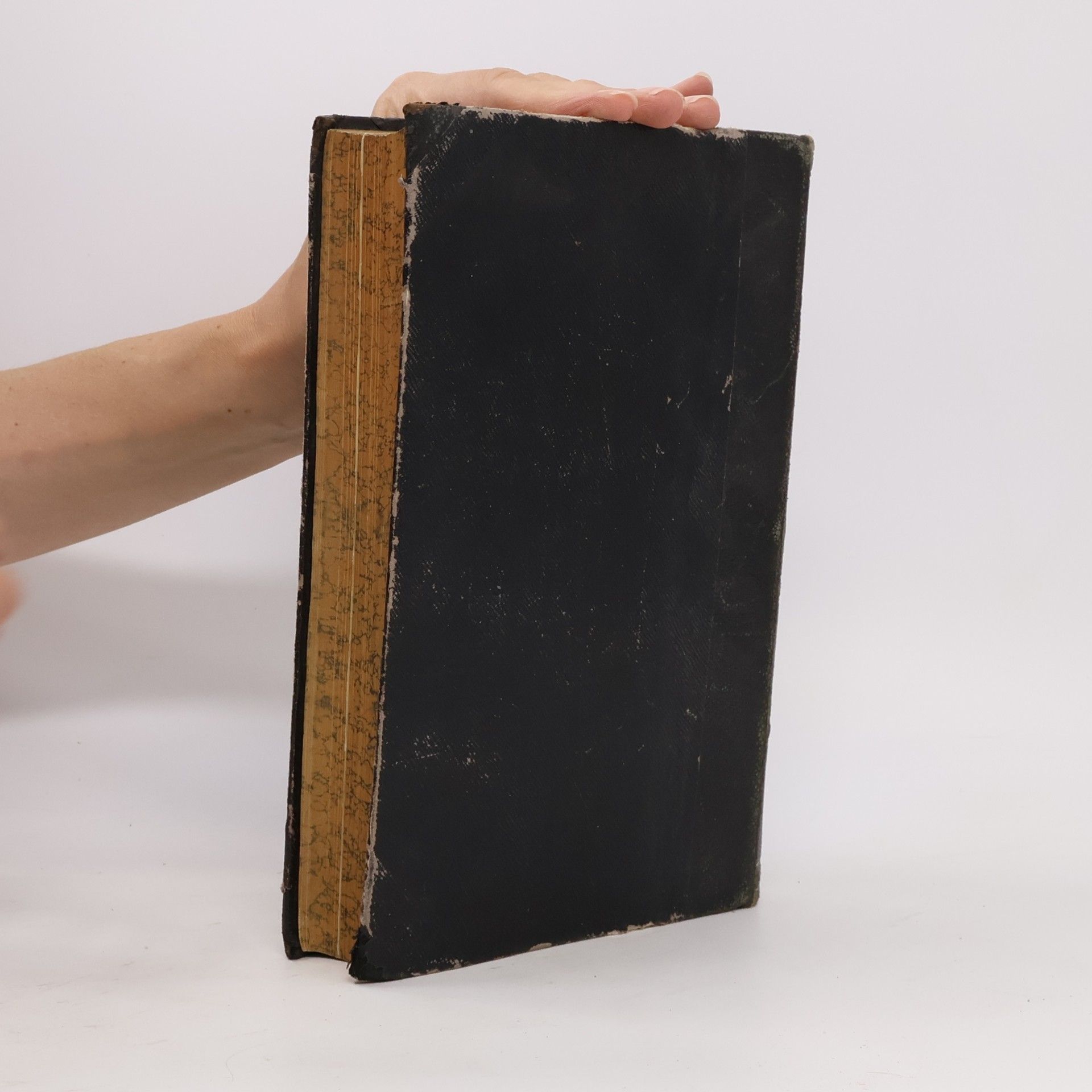 A. G. Stín Historie literatury ruské XIX. století 1