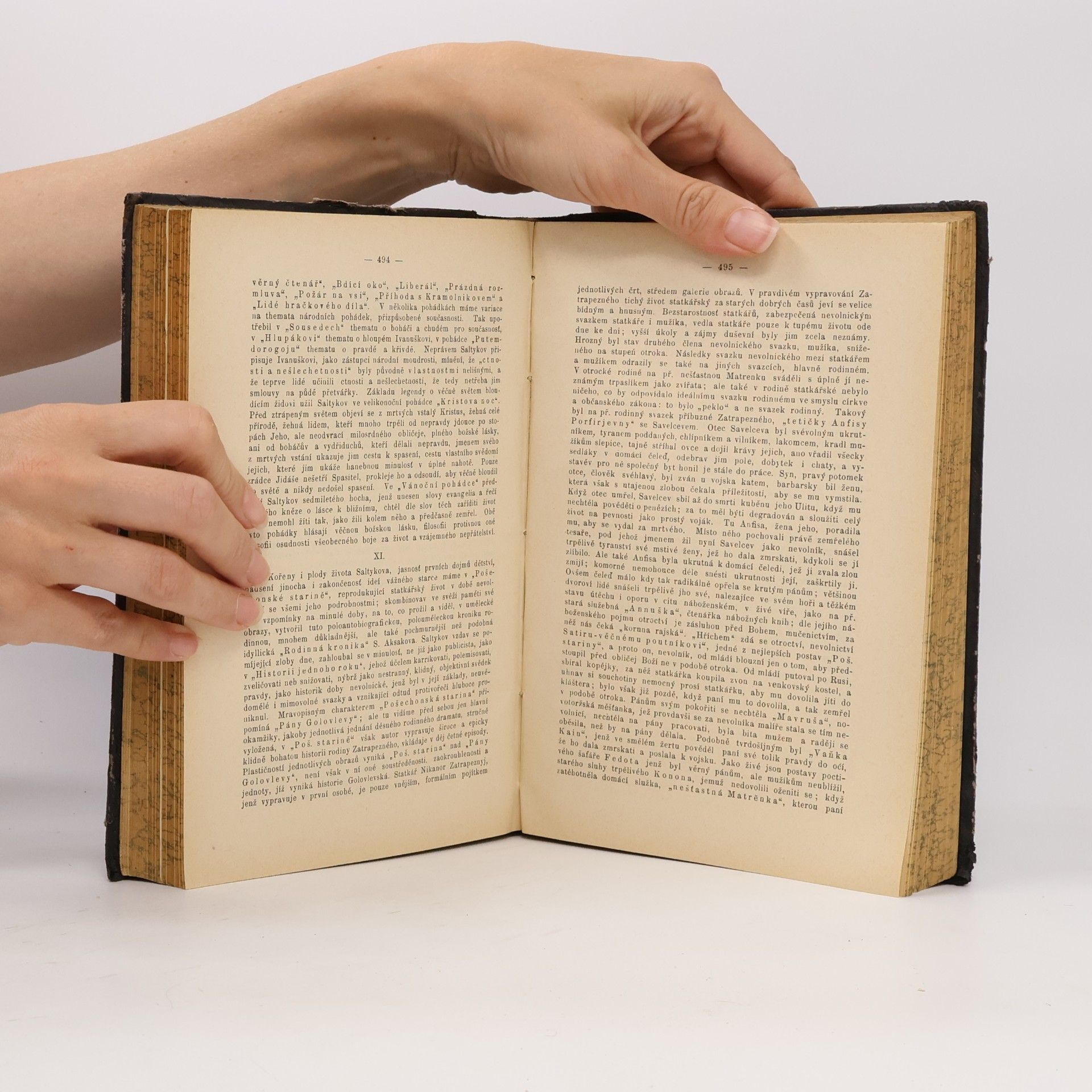 A. G. Stín Historie literatury ruské XIX. století 1