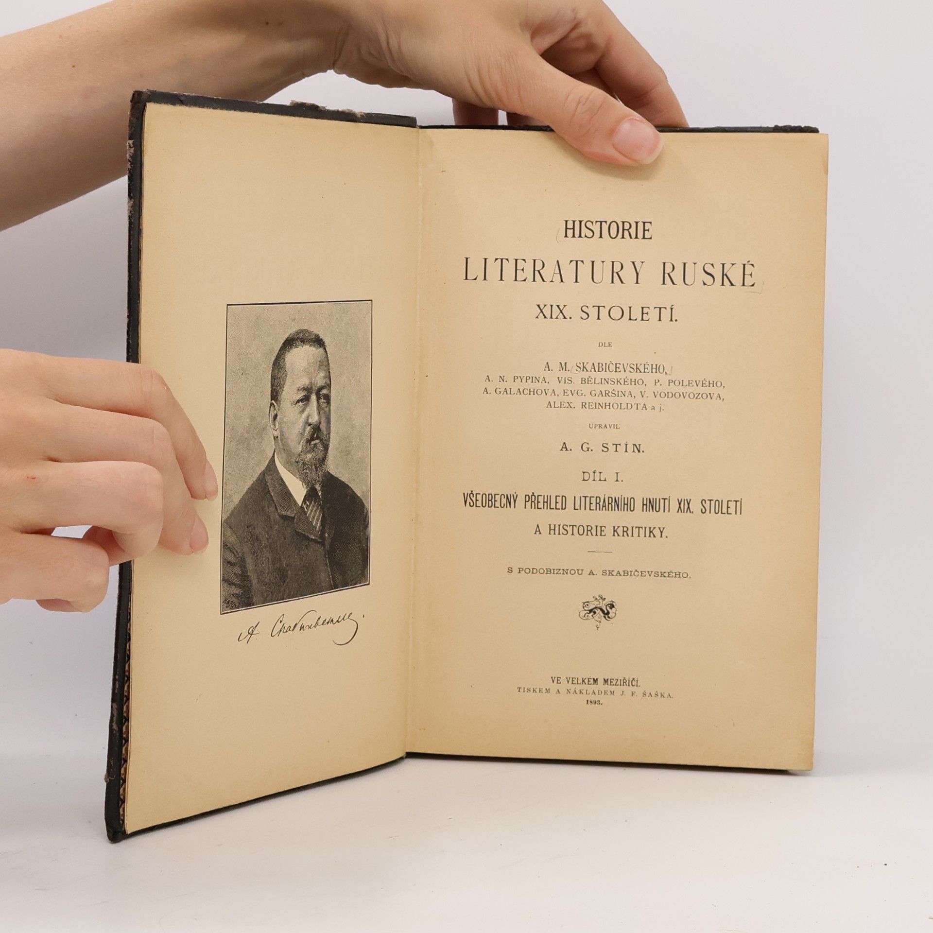A. G. Stín Historie literatury ruské XIX. století 1