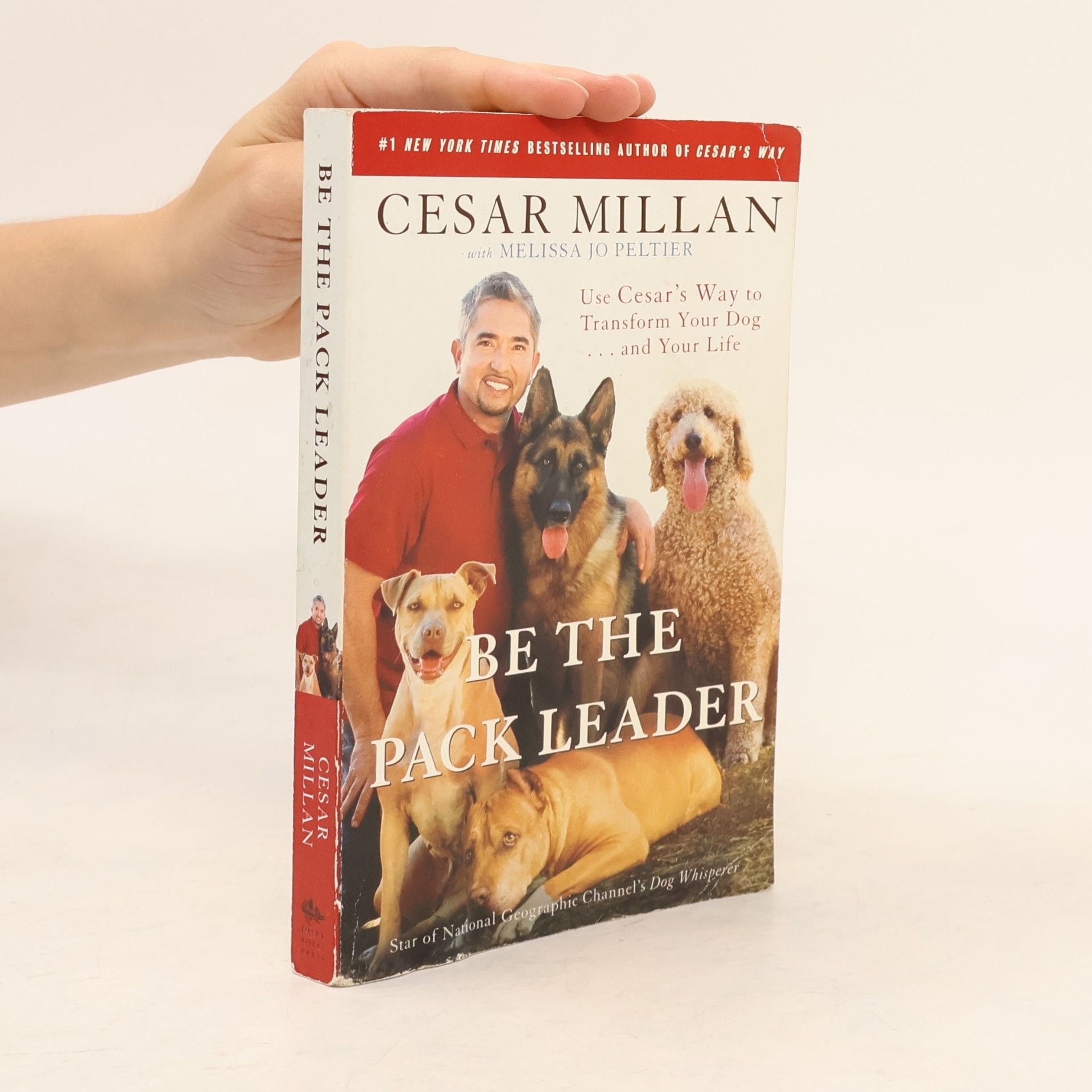 Cesar Millan Be the pack leader