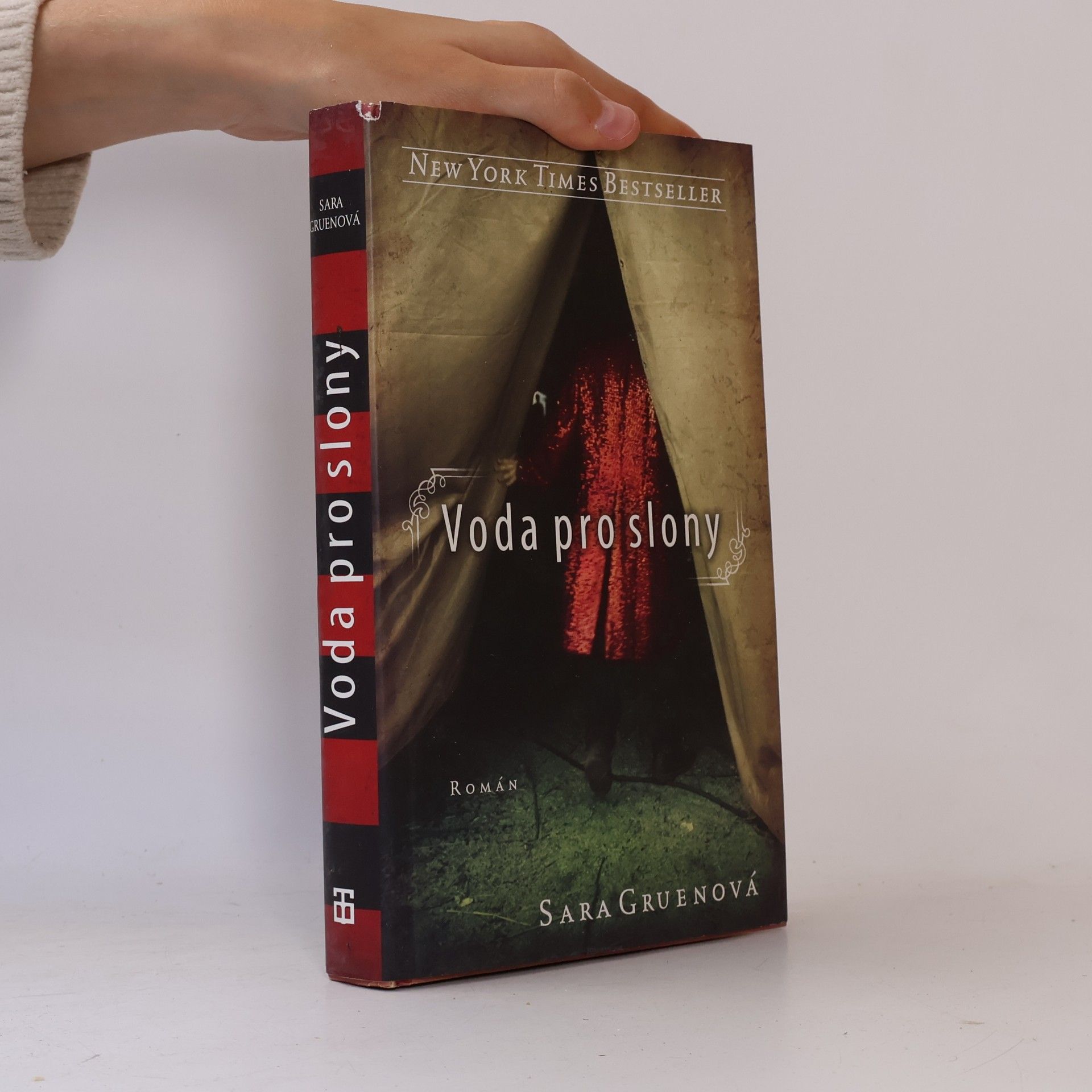 Sara Gruen Voda pro slony