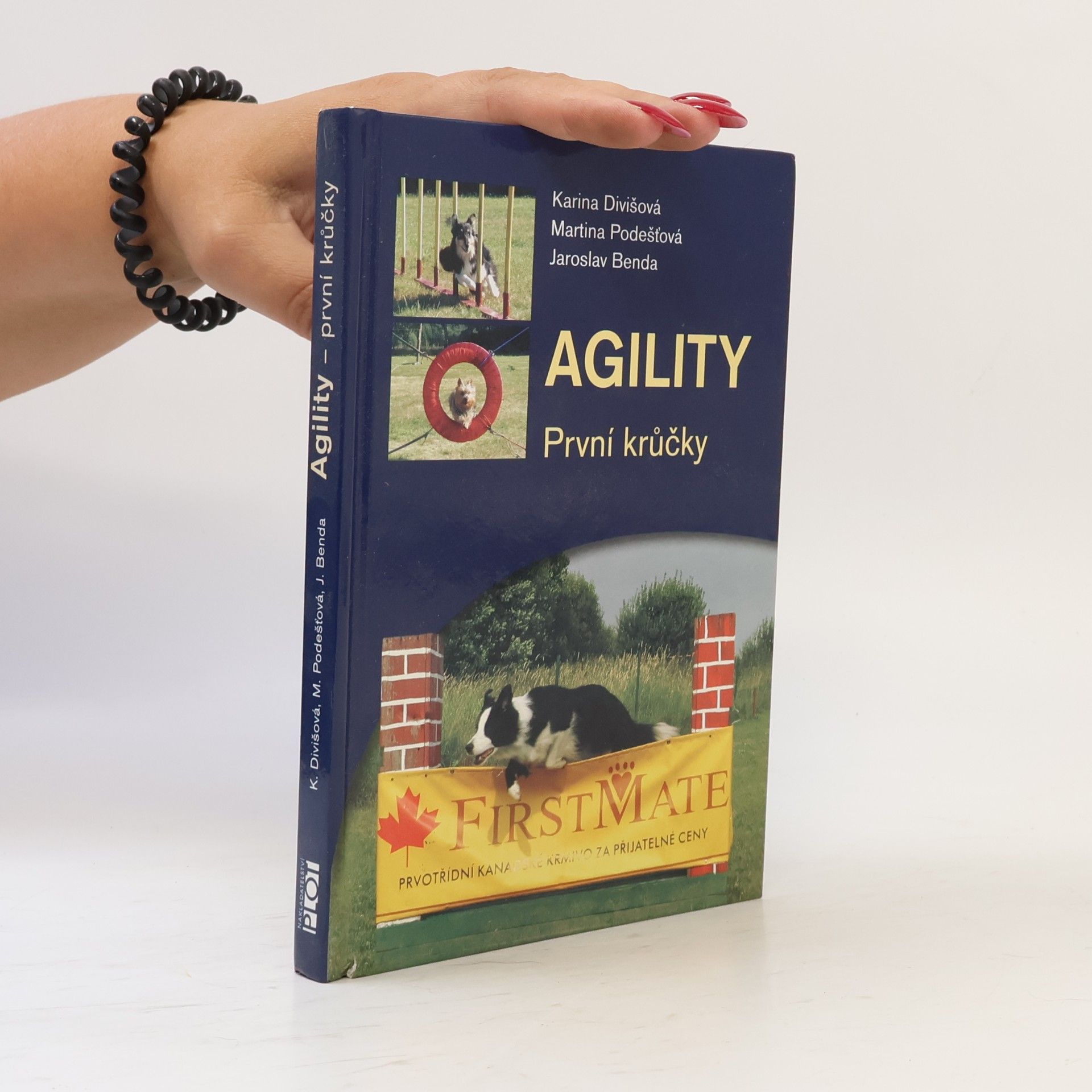 Agility: První krůčky