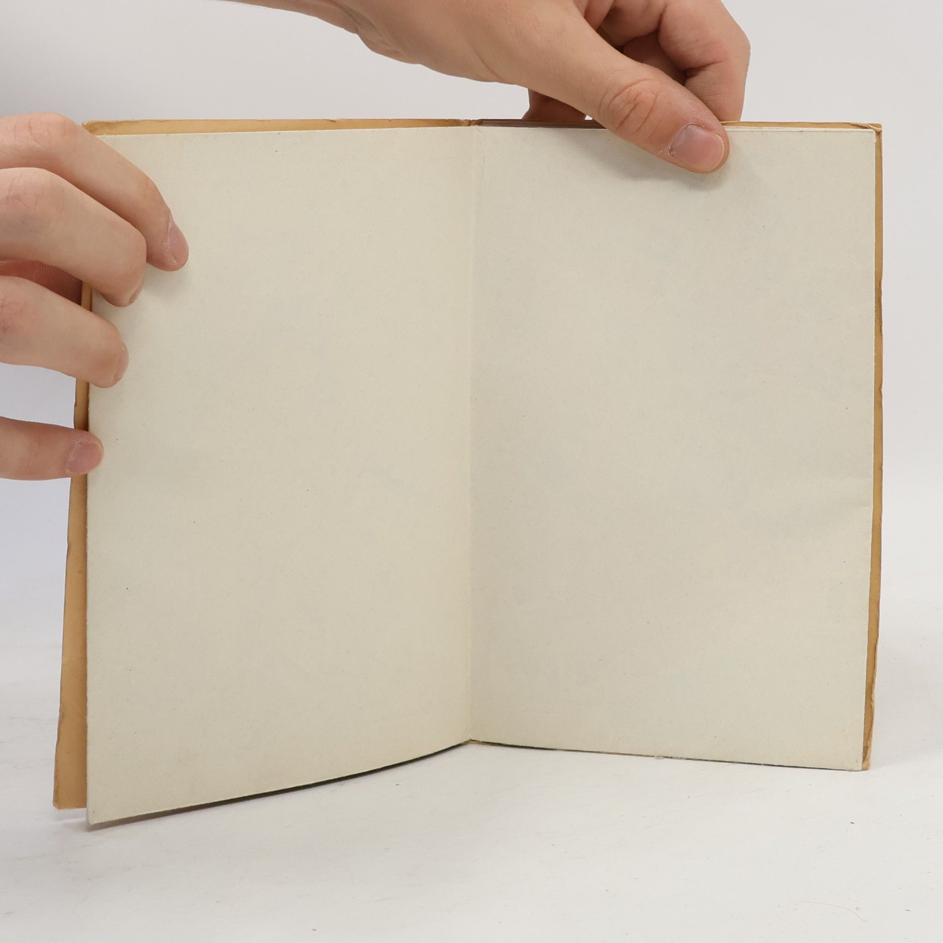 Autorenkollektiv Plan de Genève