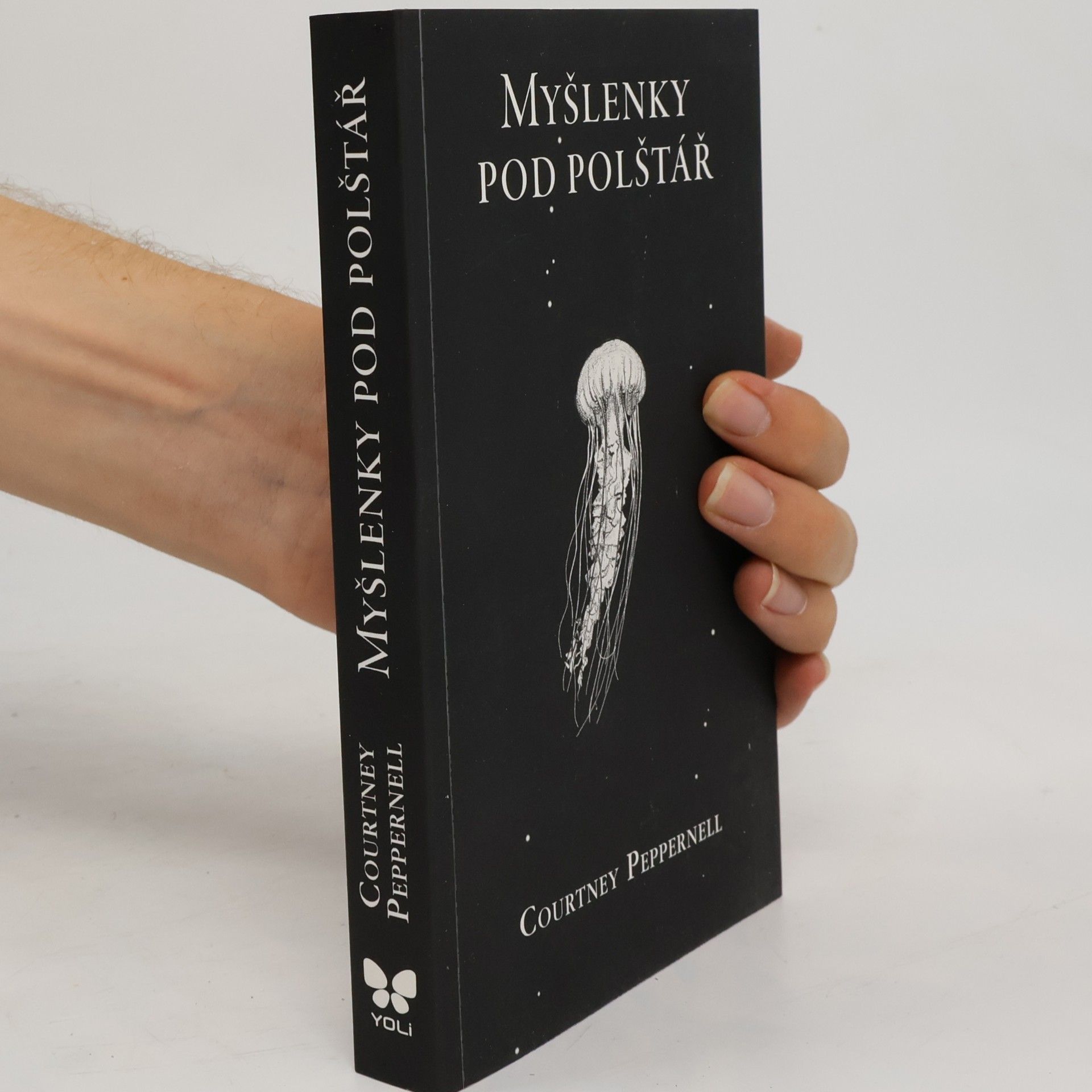 Courtney Peppernell Myšlenky pod polštář
