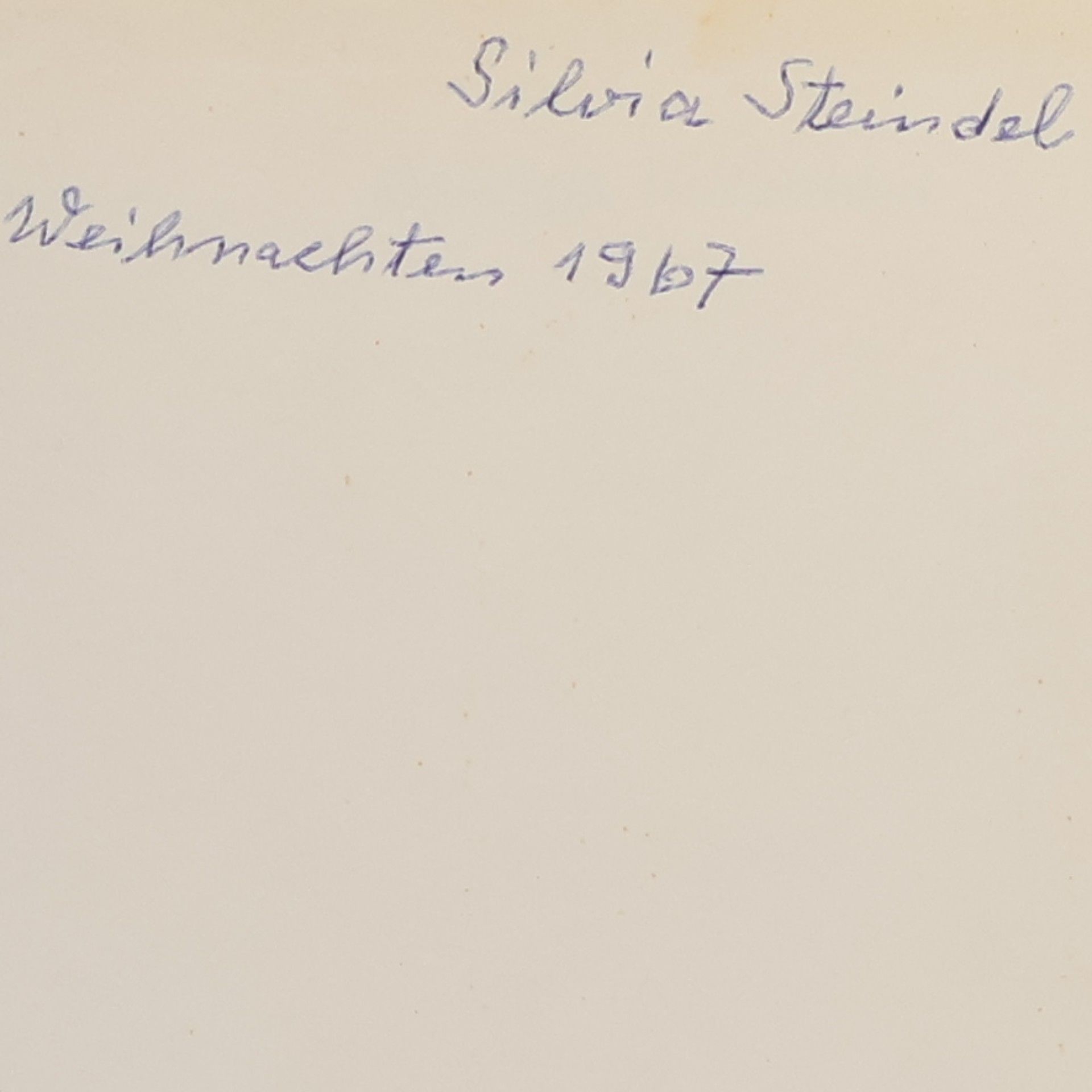 Autorenkollektiv Goldige Tierkinder