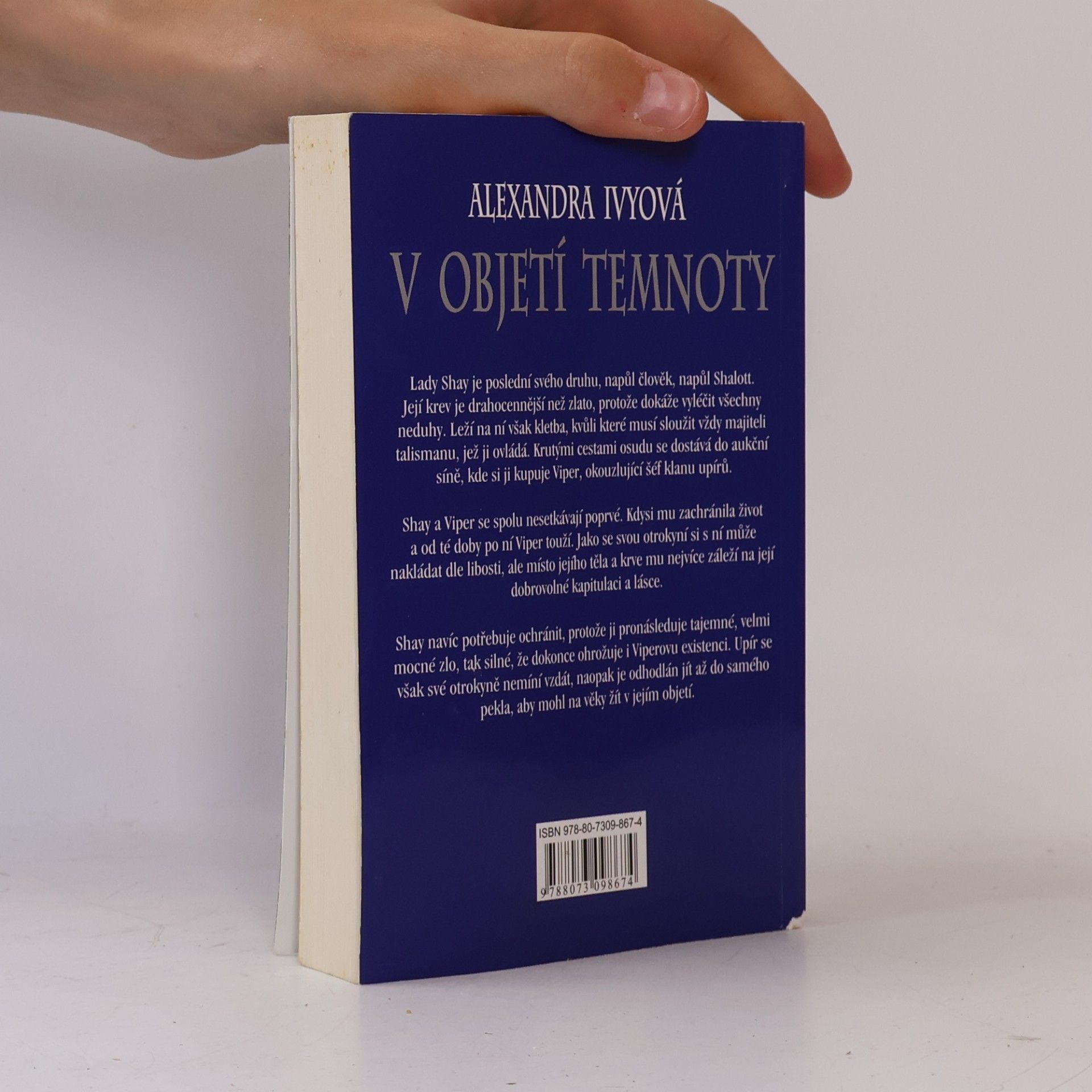 Debbie Raleigh V objetí temnoty