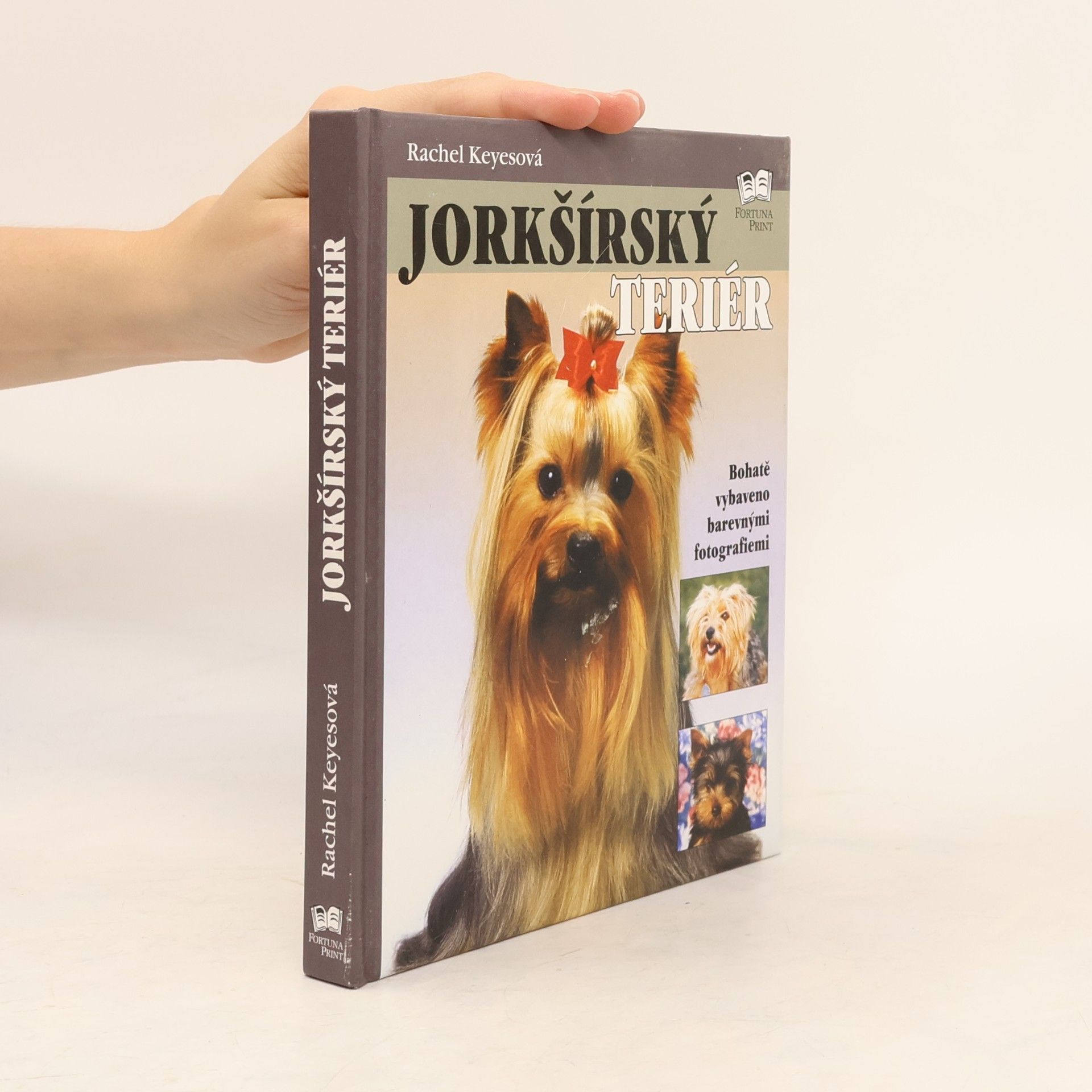 Rachel Keyes Jorkšírský teriér