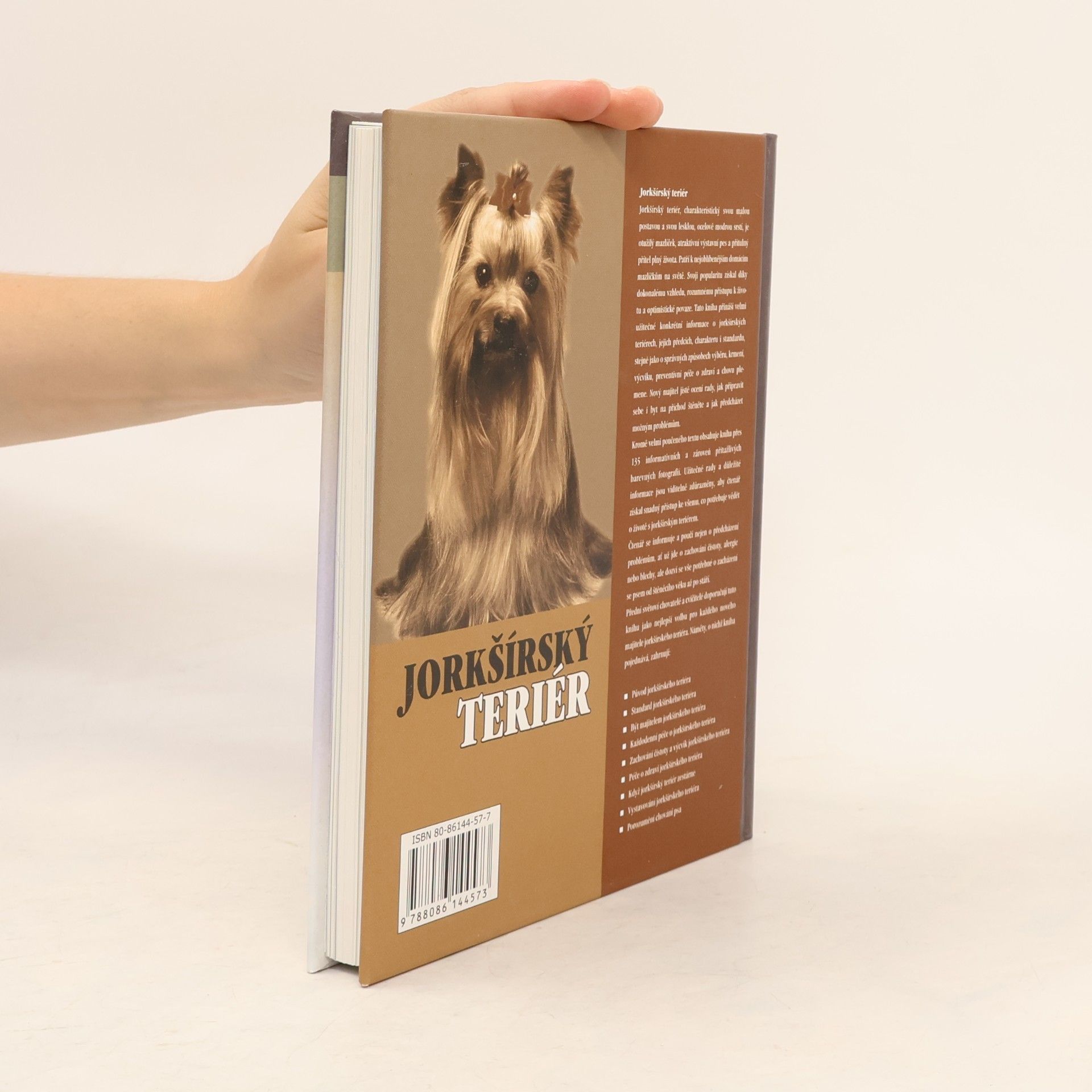 Rachel Keyes Jorkšírský teriér