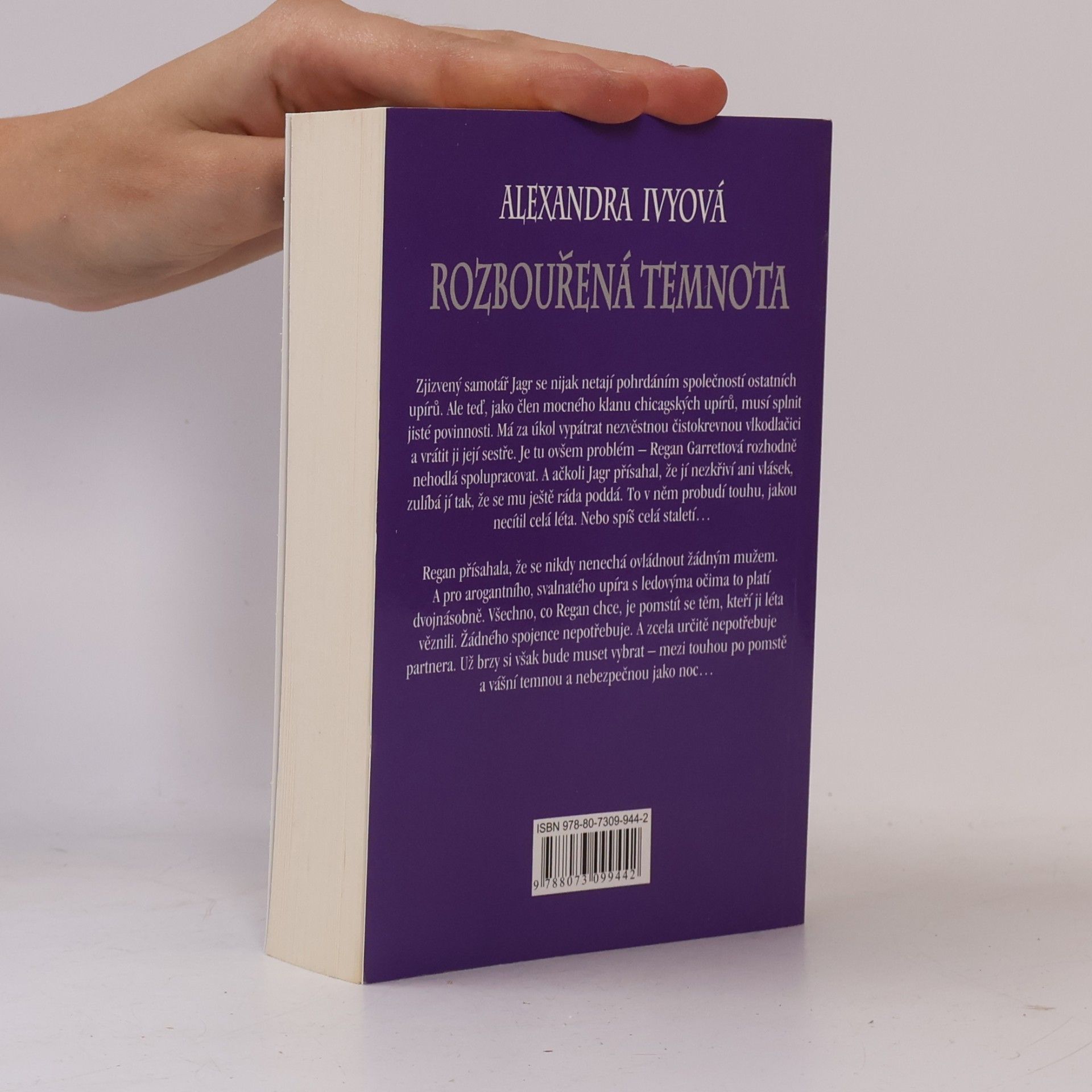 Debbie Raleigh Rozbouřená temnota