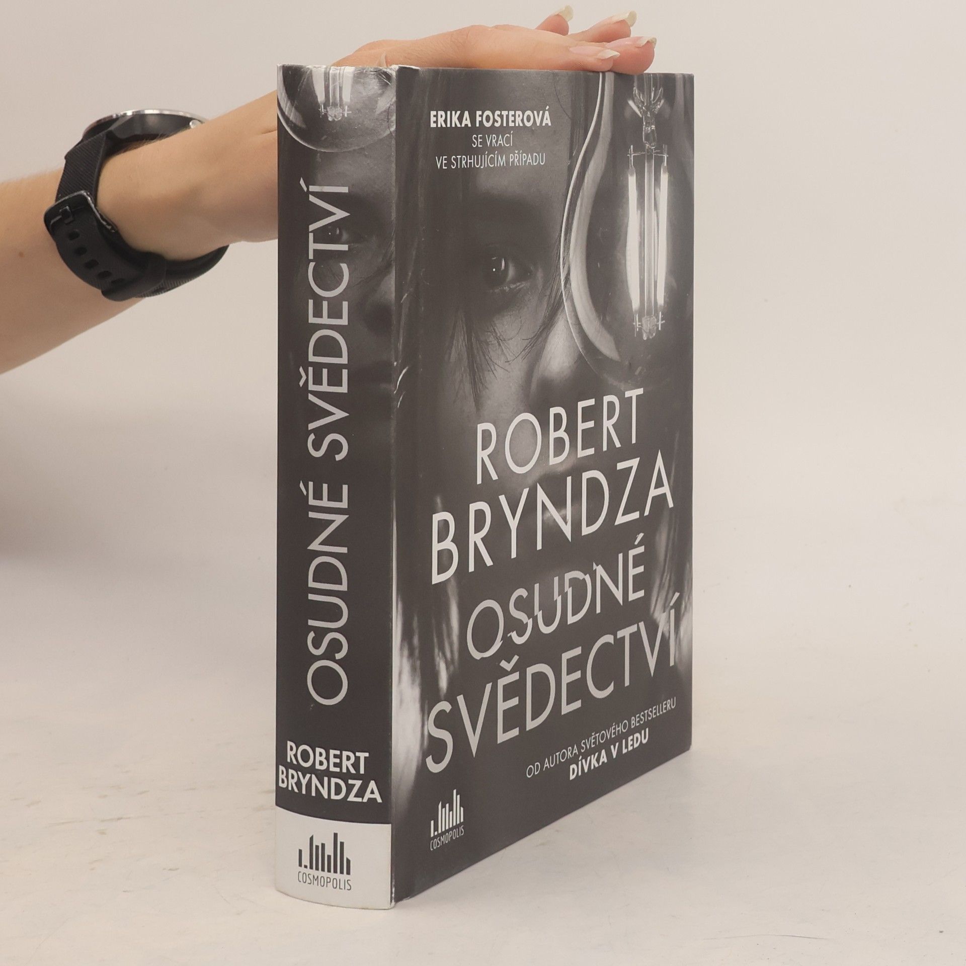Robert Bryndza Osudné svědectví