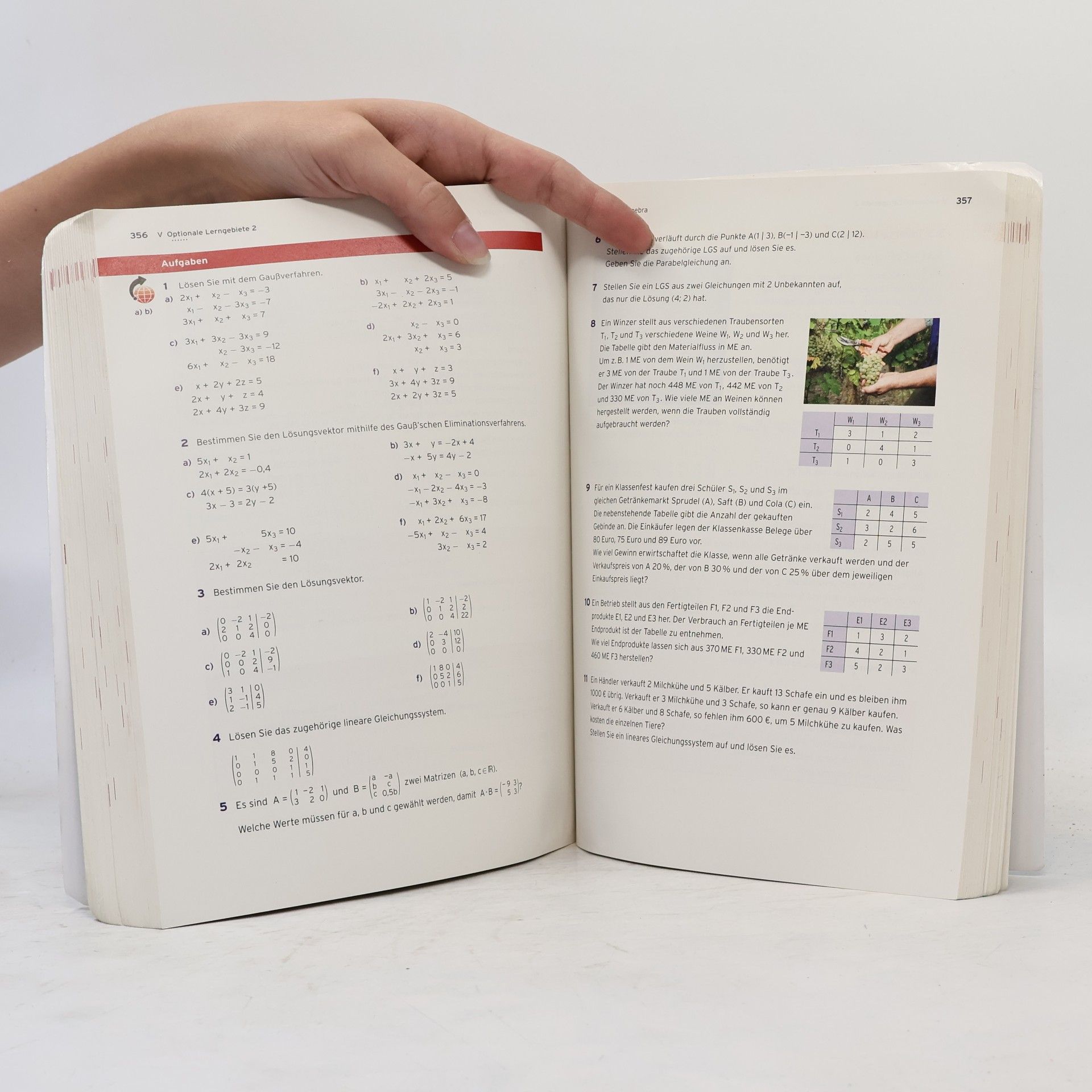 Roland Ott Mathematik kompetent zur Erlangung der Fachhochschulreife. Niedersachsen