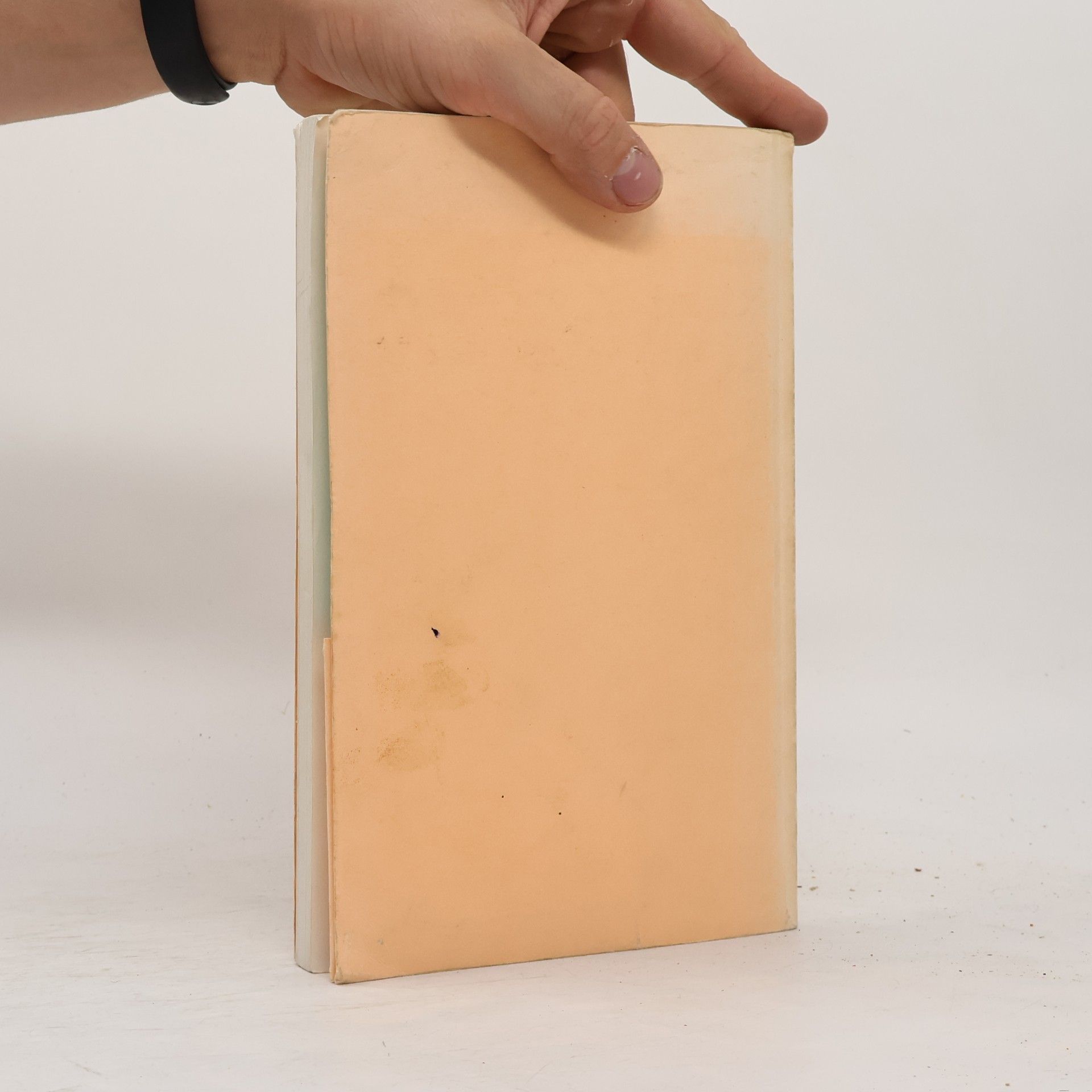 Wolfgang Schneider Übungsbuch für den Hebräisch-Unterricht