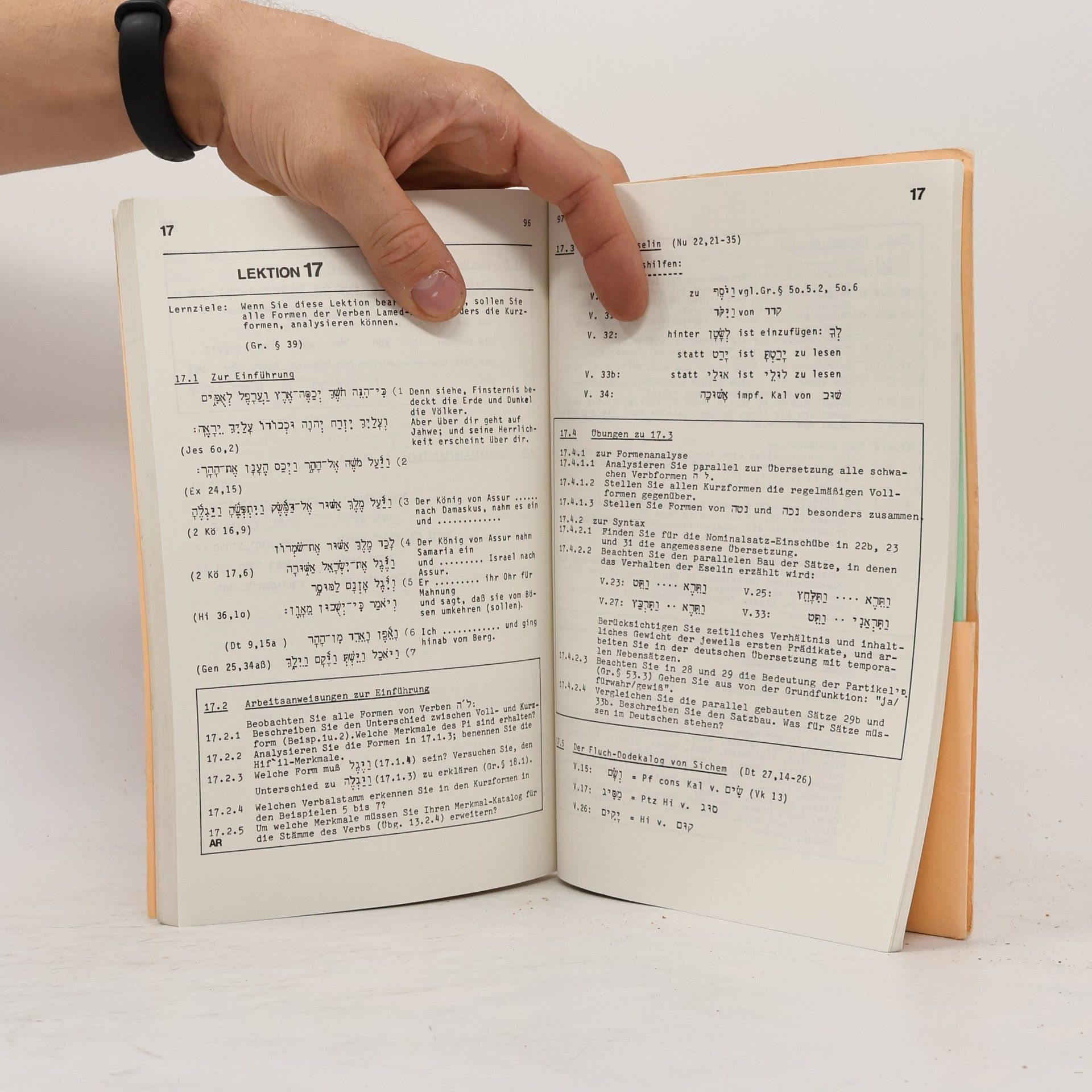 Wolfgang Schneider Übungsbuch für den Hebräisch-Unterricht