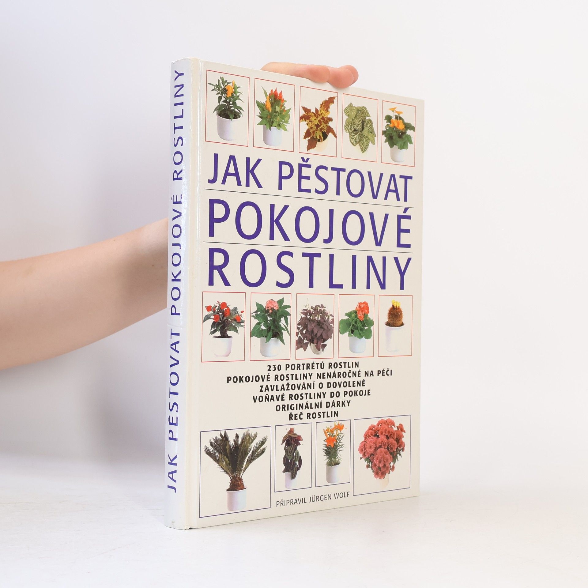 Jürgen Wolff Jak pěstovat pokojové rostliny
