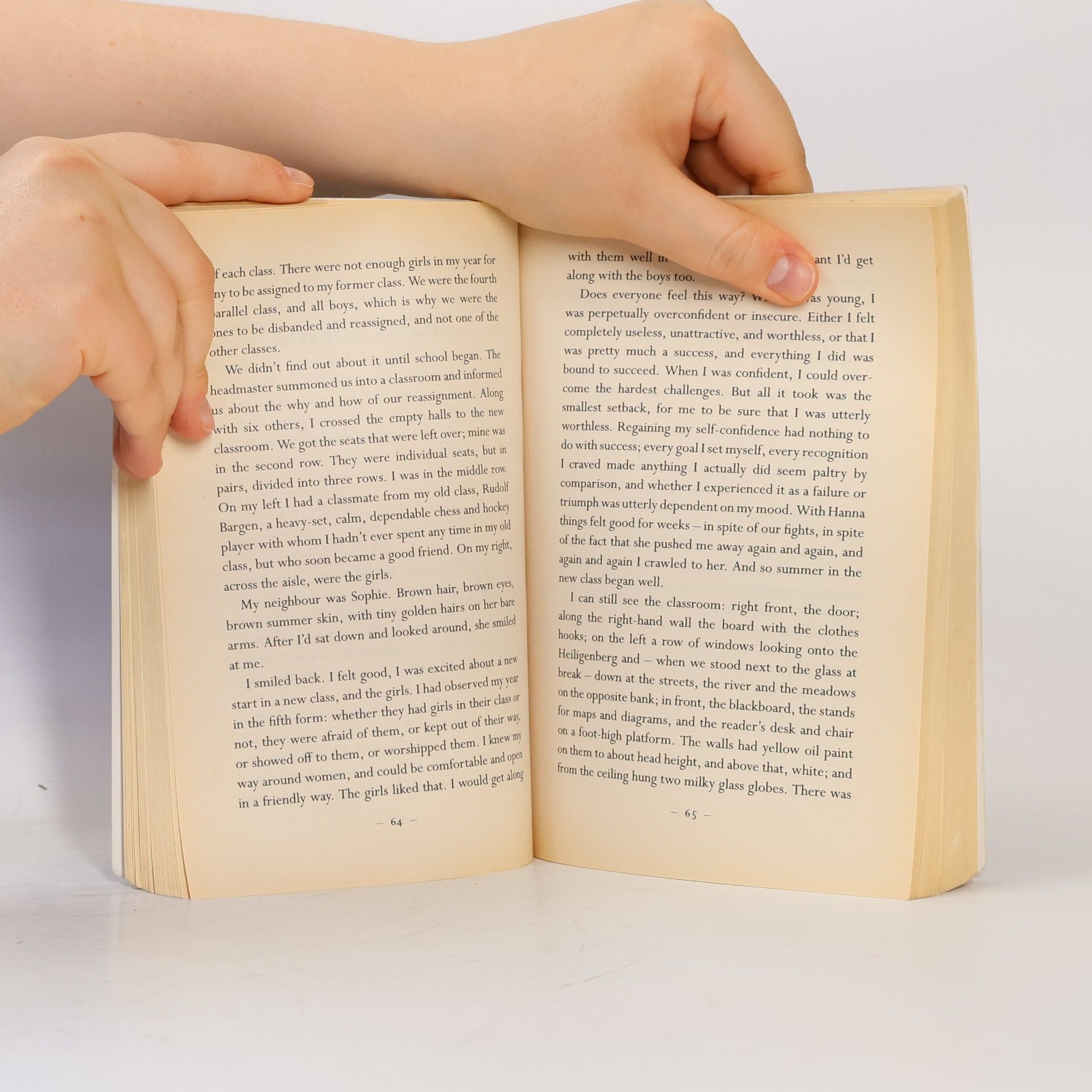 Bernhard Schlink The reader