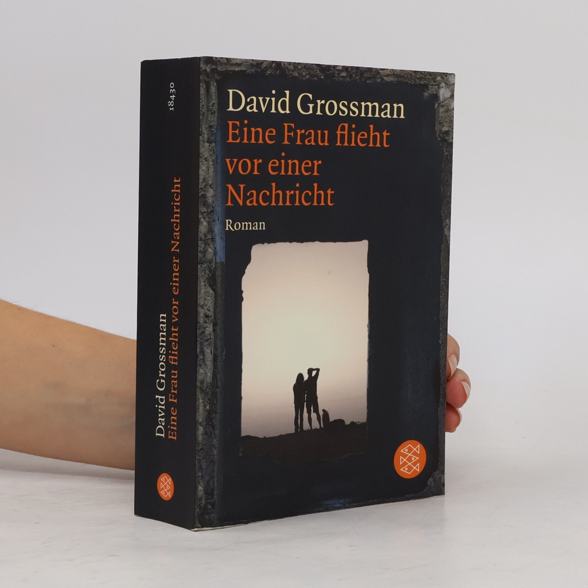 David Grossman Eine Frau flieht vor einer Nachricht