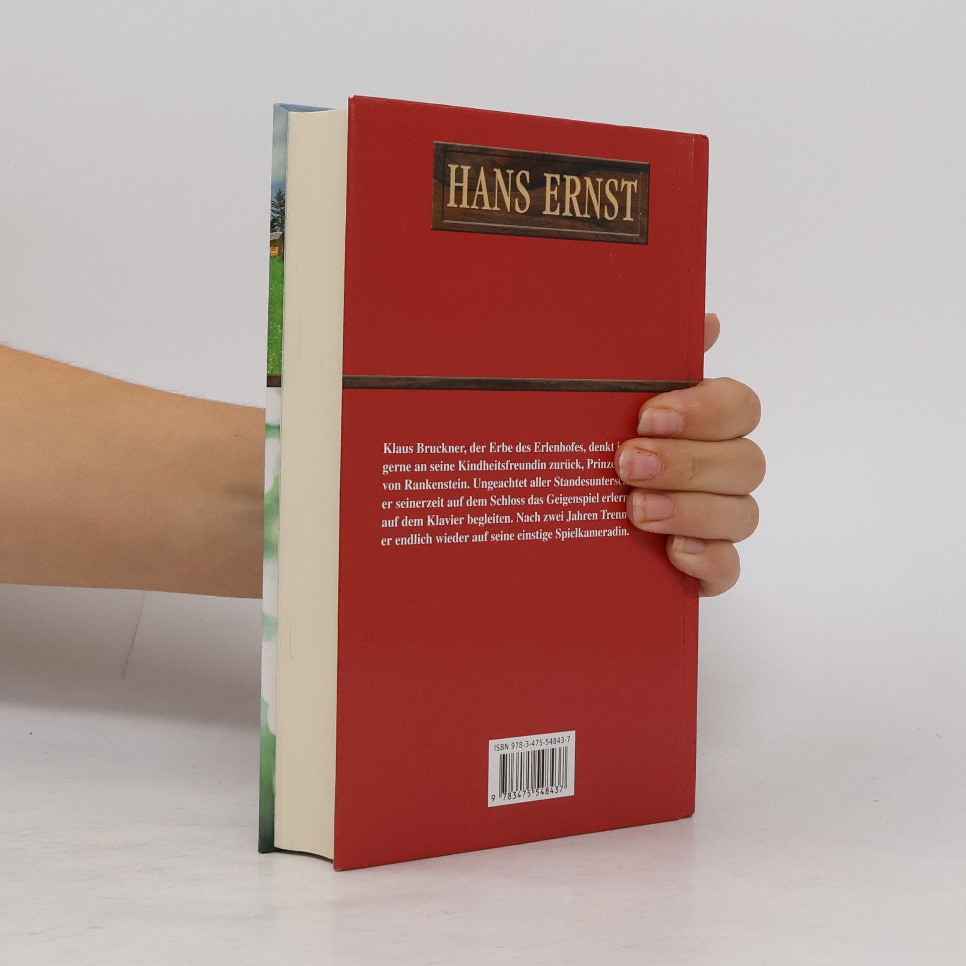 Hans-Ernst Schwiete Wo die Alpenrosen blühn